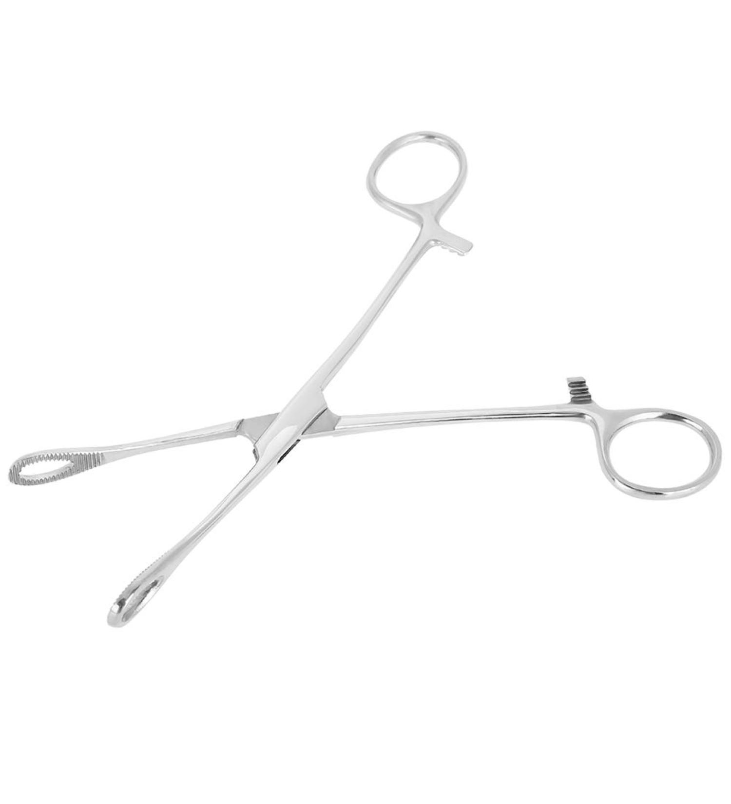 Professional Surgical Steel Sponge Tweezers for Upper Lip Navel Nose Tongue & Septum | Stainless Steel Precision Tools - Buy Online on SooperMarket.com