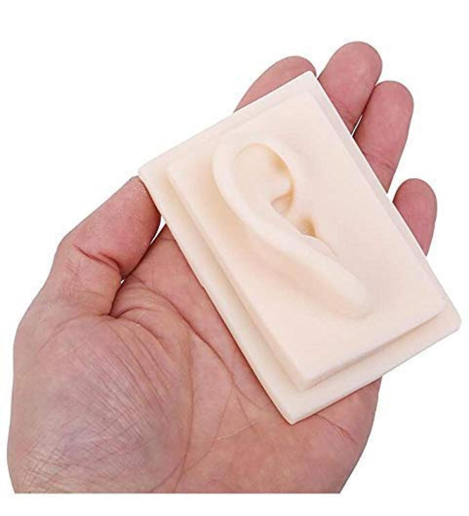 Silicone Ear Template for School Acupuncture Treatment Kit 1: 1 Nature Silicone Ear Template 1 Pair for Presentation Tool left ear - Buy Online on SooperMarket.com