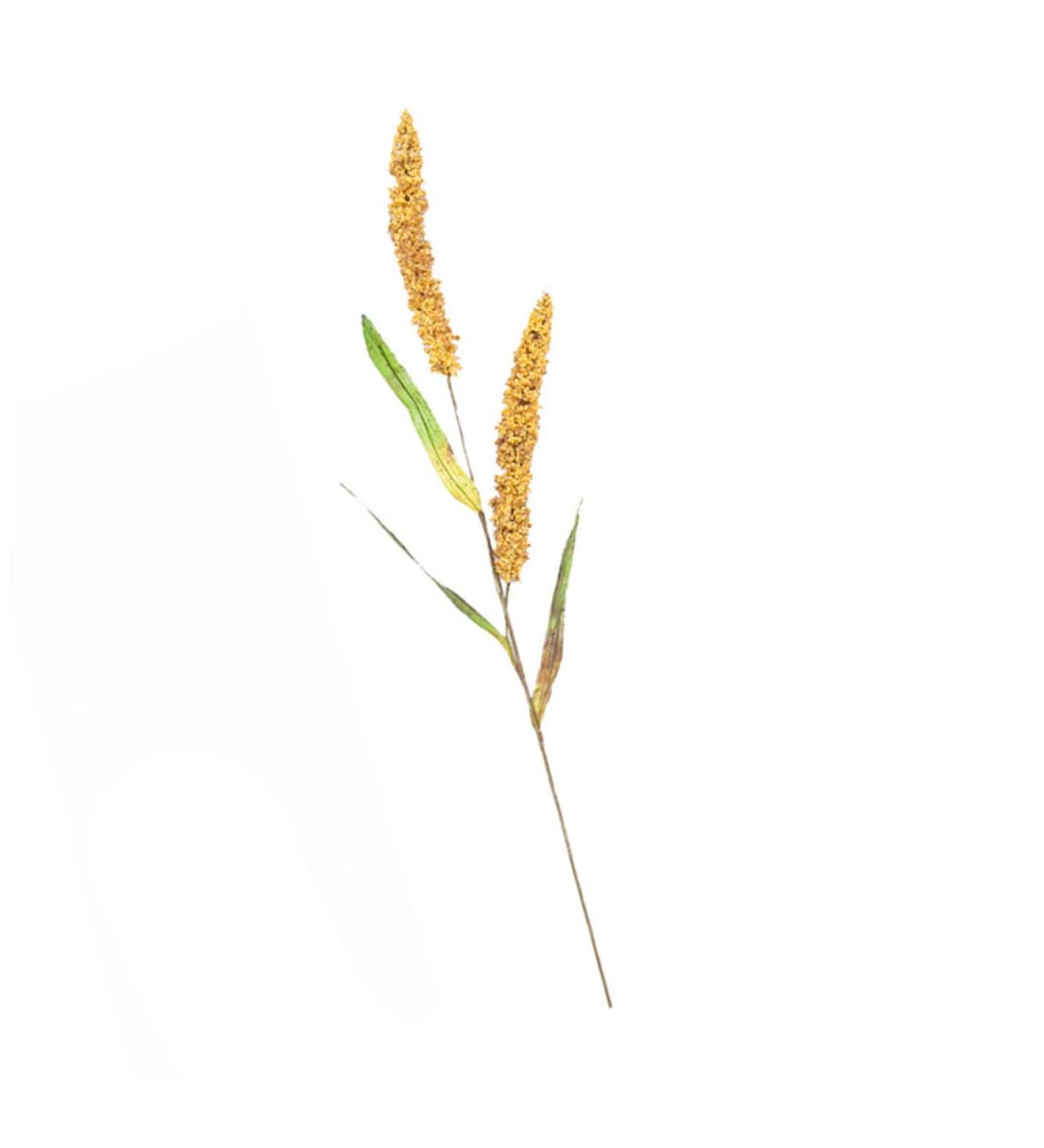 MAGICLULU Simulated Ears of Corn Artificial Wheat Ears Stalks Hand Decor Dry Wheat Grass Fruit Decor Home Decoration Wheat Decoration Wheat Ears Dried Flowers Paddy Iron Ornaments Golden 75.00X12.00X2.00CM - Buy Online on SooperMarket.com