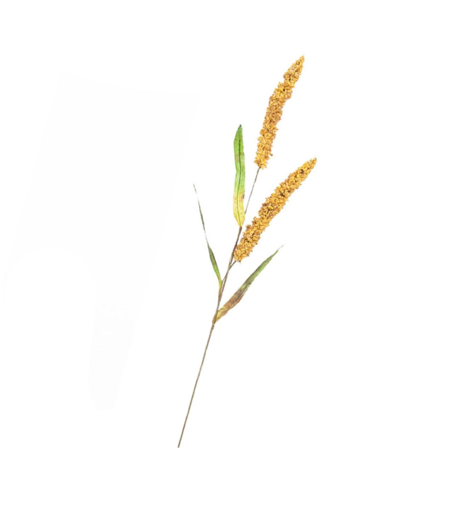 DECHOUS Simulated Ears of Corn Dry Flowers for Decoration Wheat Sheave Bundle Flower Fake Wheat Stalks Decoration for Home Decor for Home Artificial Plants Faux Plant Straw Manual Pu Golden 12X75CM - Buy Online on SooperMarket.com