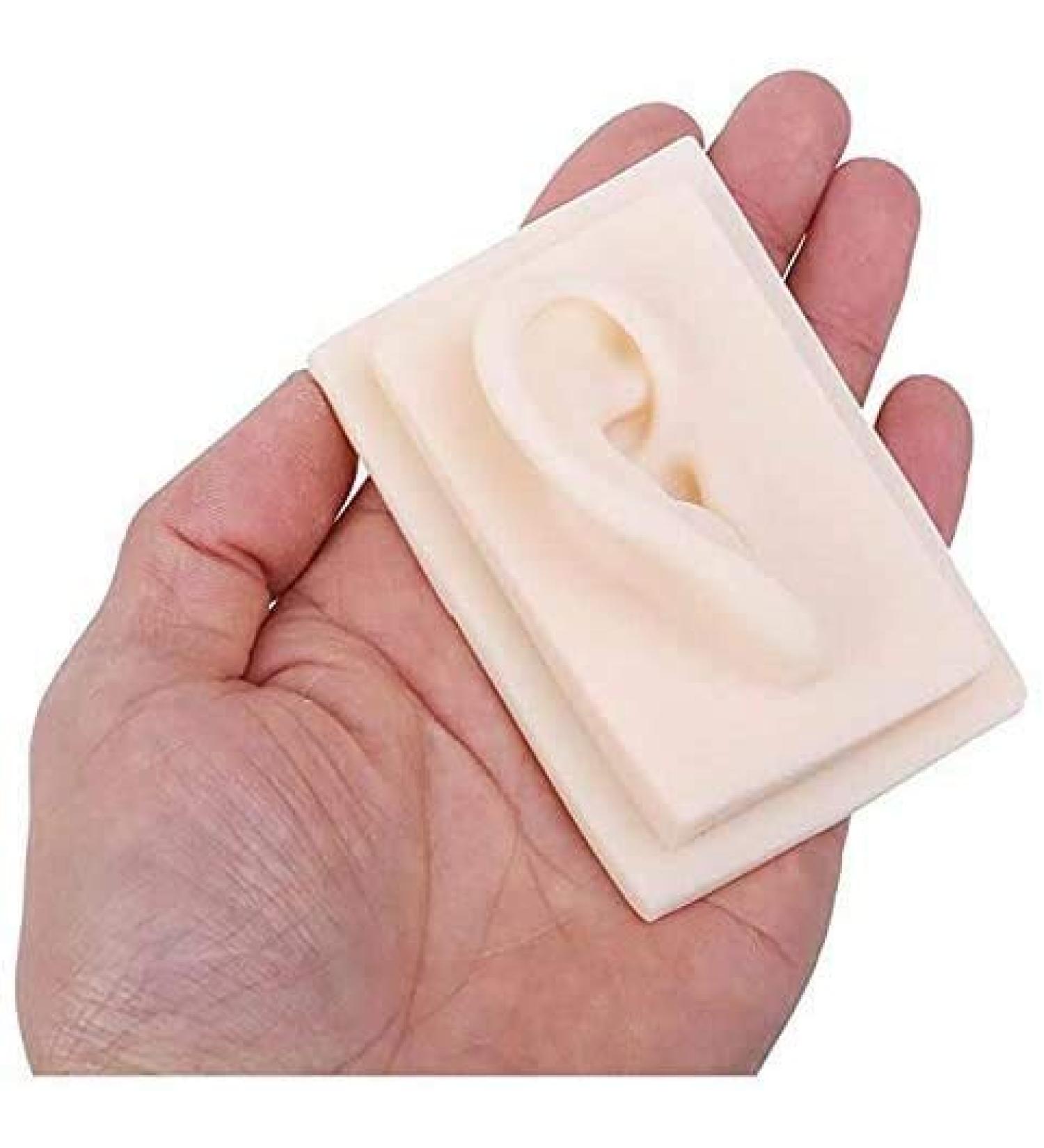 Silicone Ear Model for Educational Kit for The Acupuncture Treatment of The School Model of Human Ear Silicone-Size Natural 1 1 1 Pair - Buy Online on SooperMarket.com