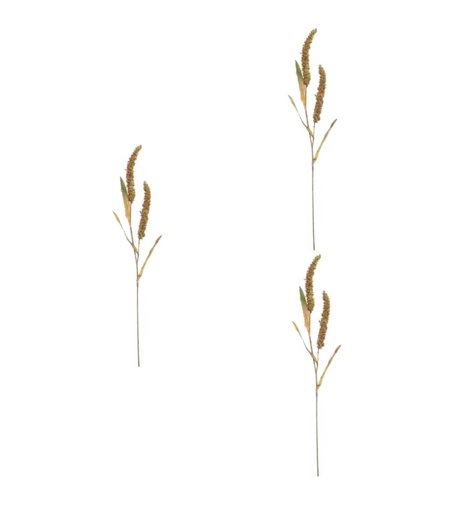 Ciieeo 3pcs Simulated Ears of Corn Artificial Wheat Ears Stalks Thanksgiving Decorations Wheat Home D cor Fall Decor Artificial Plants Simulation Wheat Ears Household Fake Grass Iron Greenx3pcs 12X75CMx3pcs - Buy Online on SooperMarket.com
