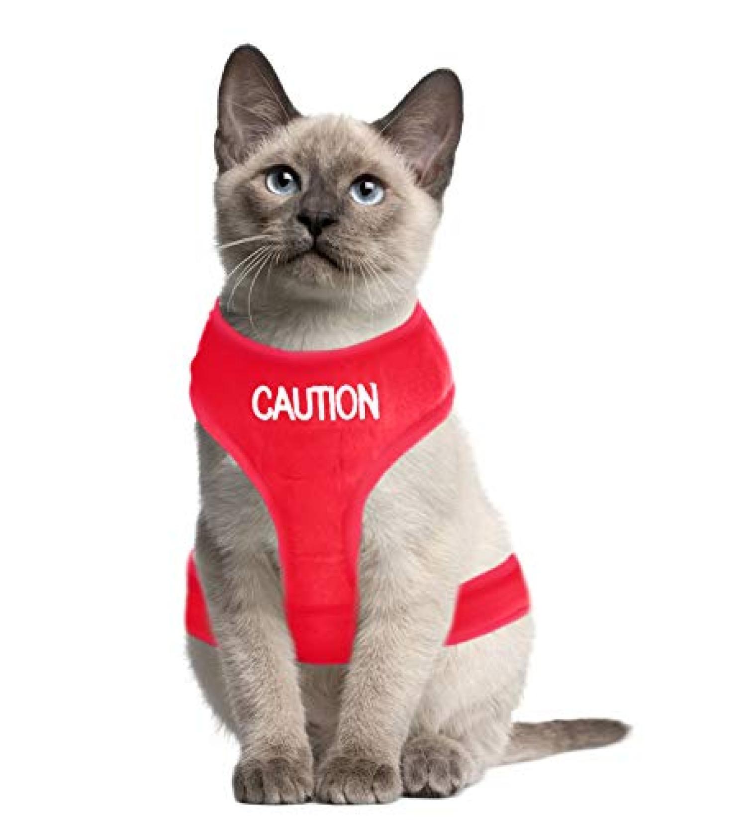 Dexil Colour Coded Cat Harness Warning Alert Vest Padded and Water Resistant Red CAUTION (S-M) Small-Medium Red CAUTION - Buy Online on SooperMarket.com