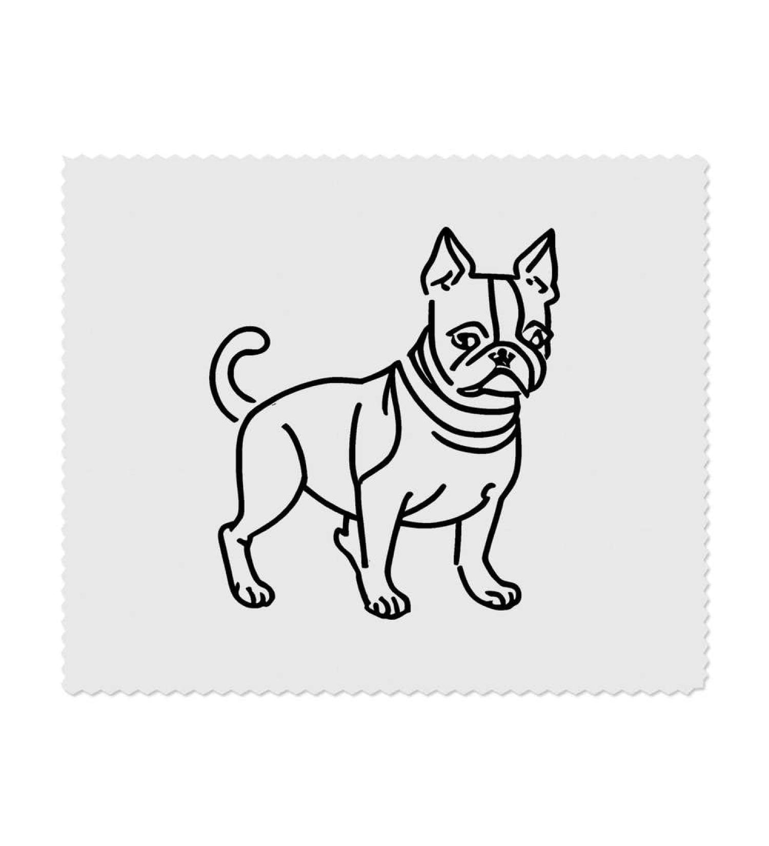 Buy Boston Terrier Dog Microfiber Cleaning Cloths - 2 Pack | International Shipping Available - Buy Online on SooperMarket.com