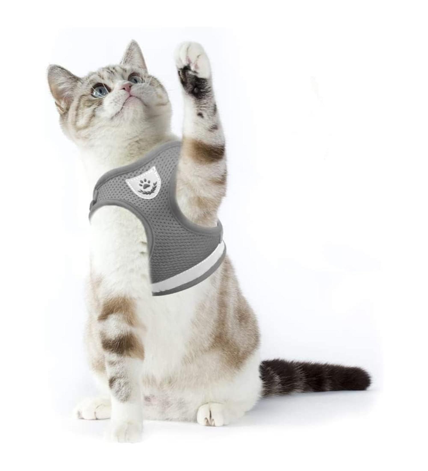 Supet Cat Tableware Dishes & Soft Vest with Leash for Kittens & Puppies - Gray (Size M: 33-38 cm) | International Shipping - Buy Online on SooperMarket.com