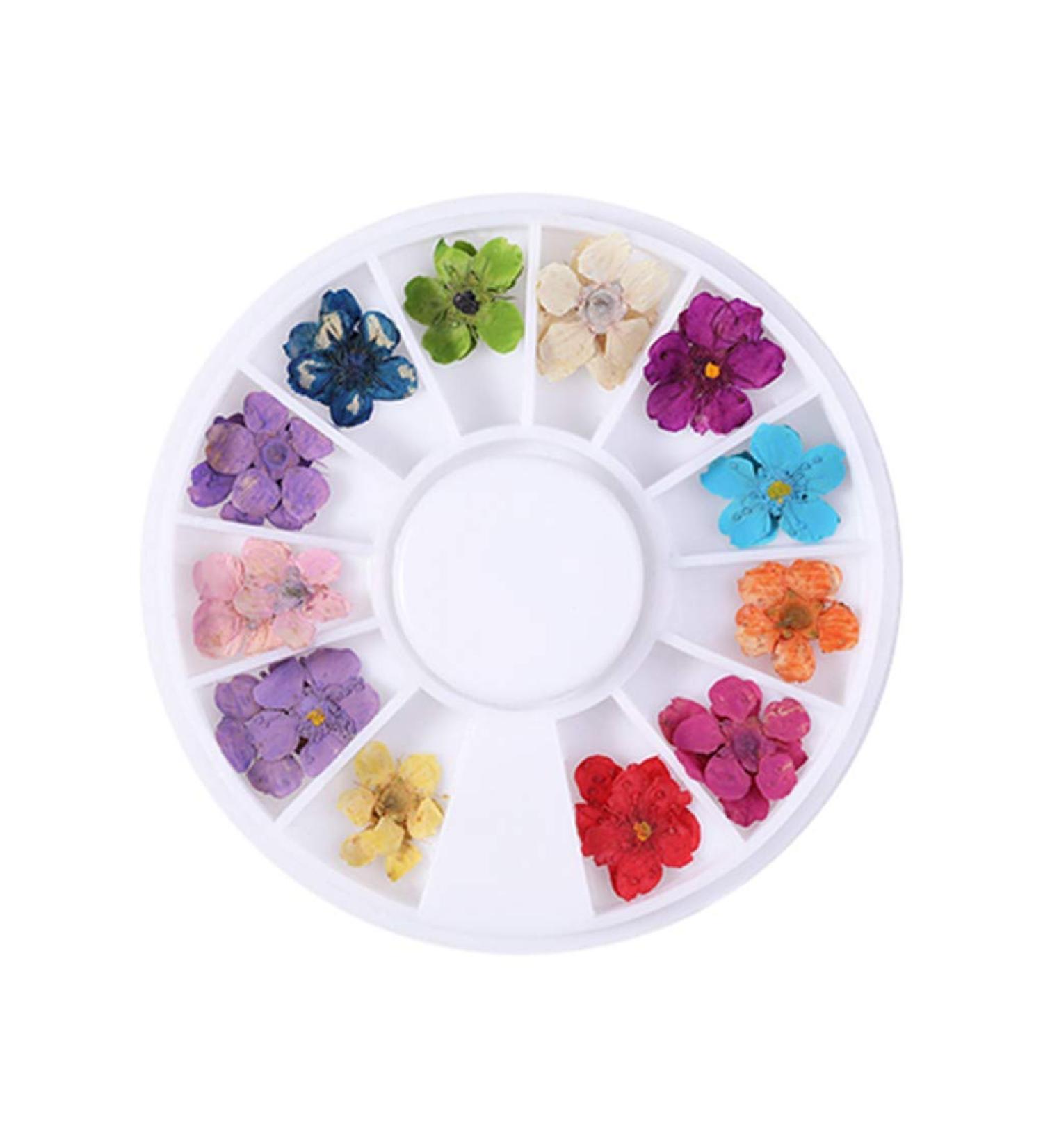 Vzdsddef Sunflower Nail Petals Dry Dry Flower Daffodil Star Flower Five Small Nail AcA281 One Size A