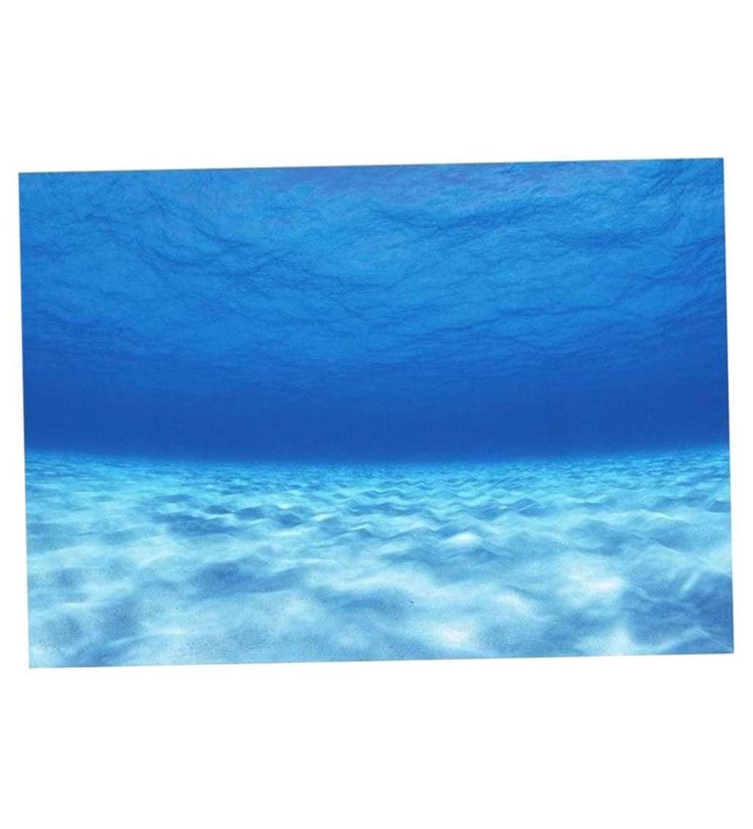LOVIVER Side Tank Background Underwater Tank Background Poster Backdrop Decoration Paper 61x30cm - Buy Online on SooperMarket.com
