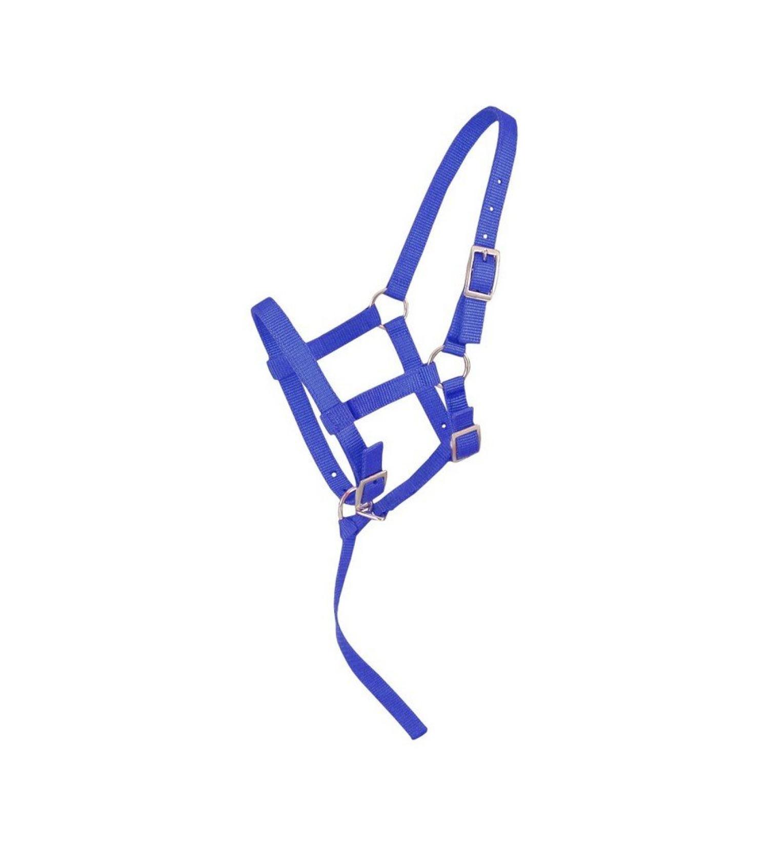 Tough 1 Nylon Foal Halter Royal Blue Suckling