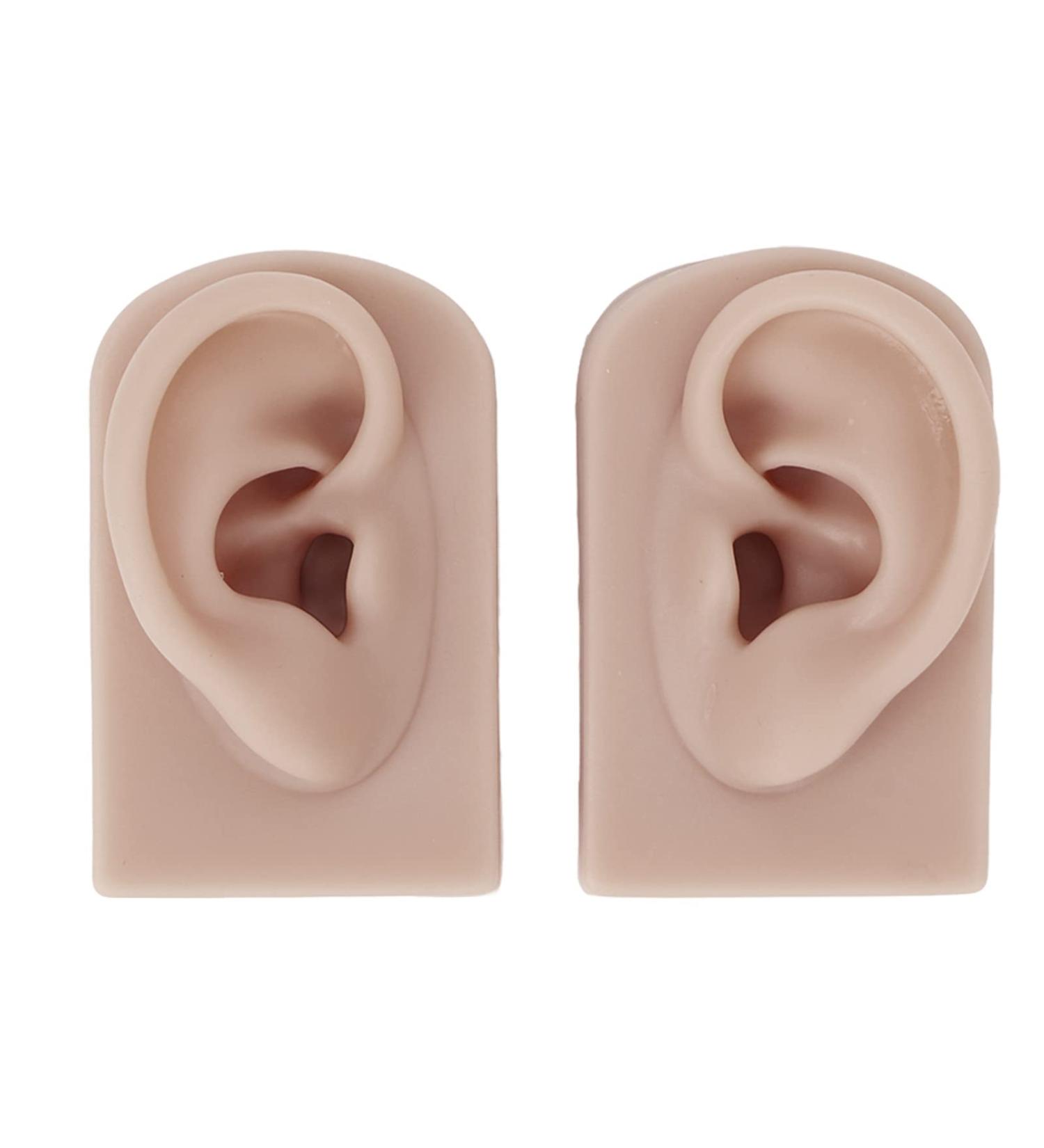 Silicone Ear Model Left and Right Soft Flexible Model Fake Ear Piercing Practice Human Ear Model Silicone Ear for Jewelry Display Acupuncture Teaching (#3) - Buy Online on SooperMarket.com