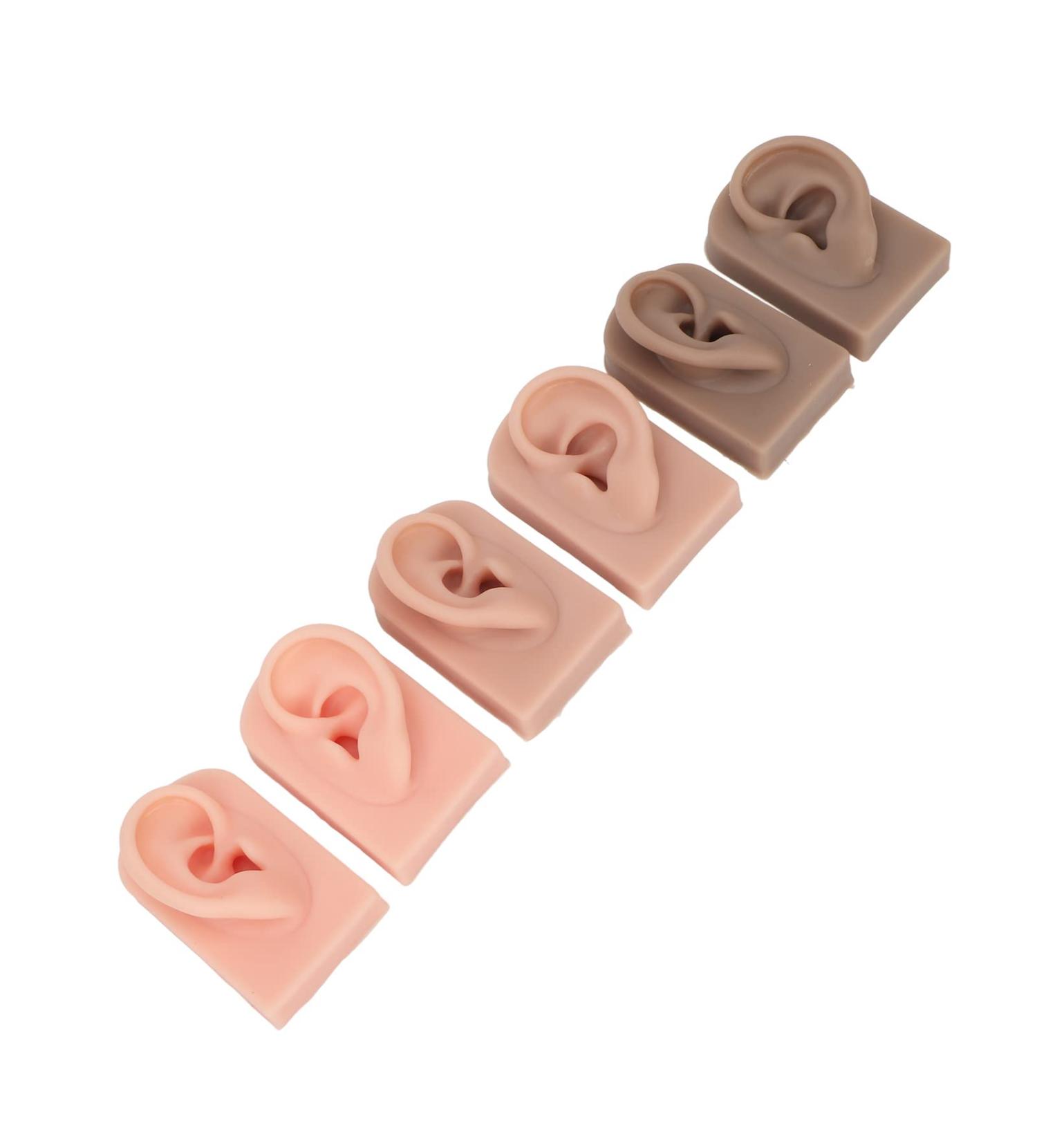 3 Pairs Human Ear Model Set - Soft & Flexible Simulation for Novice Practice - Buy Online on SooperMarket.com