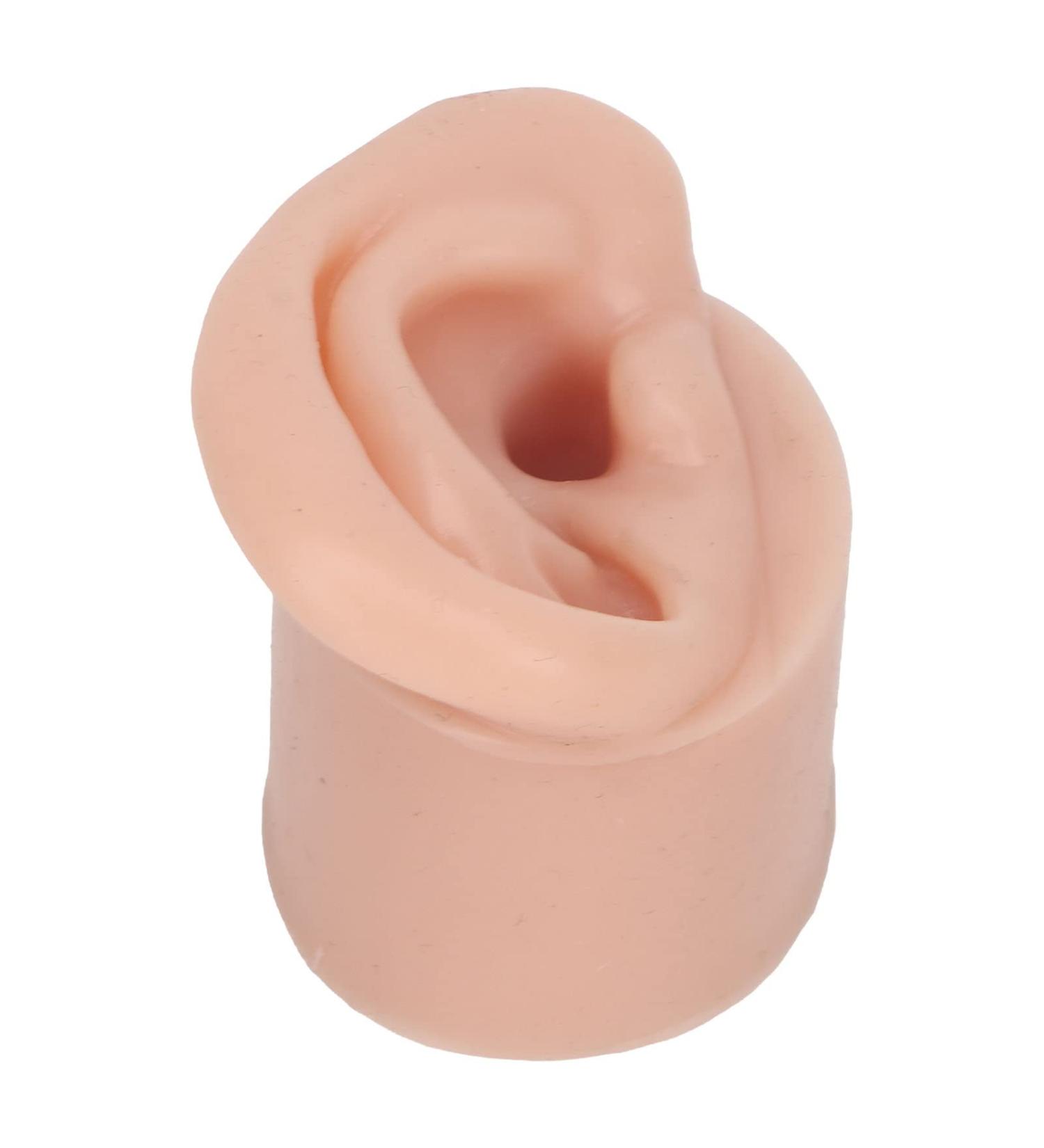 Display Ear Model Reusable Simulated Silicone Practice Ear Model Portable Elastic for Jewelry Store for Beginner(Right) - Buy Online on SooperMarket.com