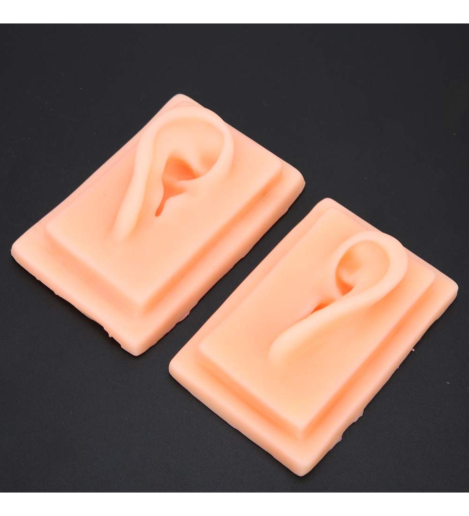 Ear Model Silicone Ear Model Acupuncture Practice Human Soft Teaching Left Right Ear Model - Buy Online on SooperMarket.com