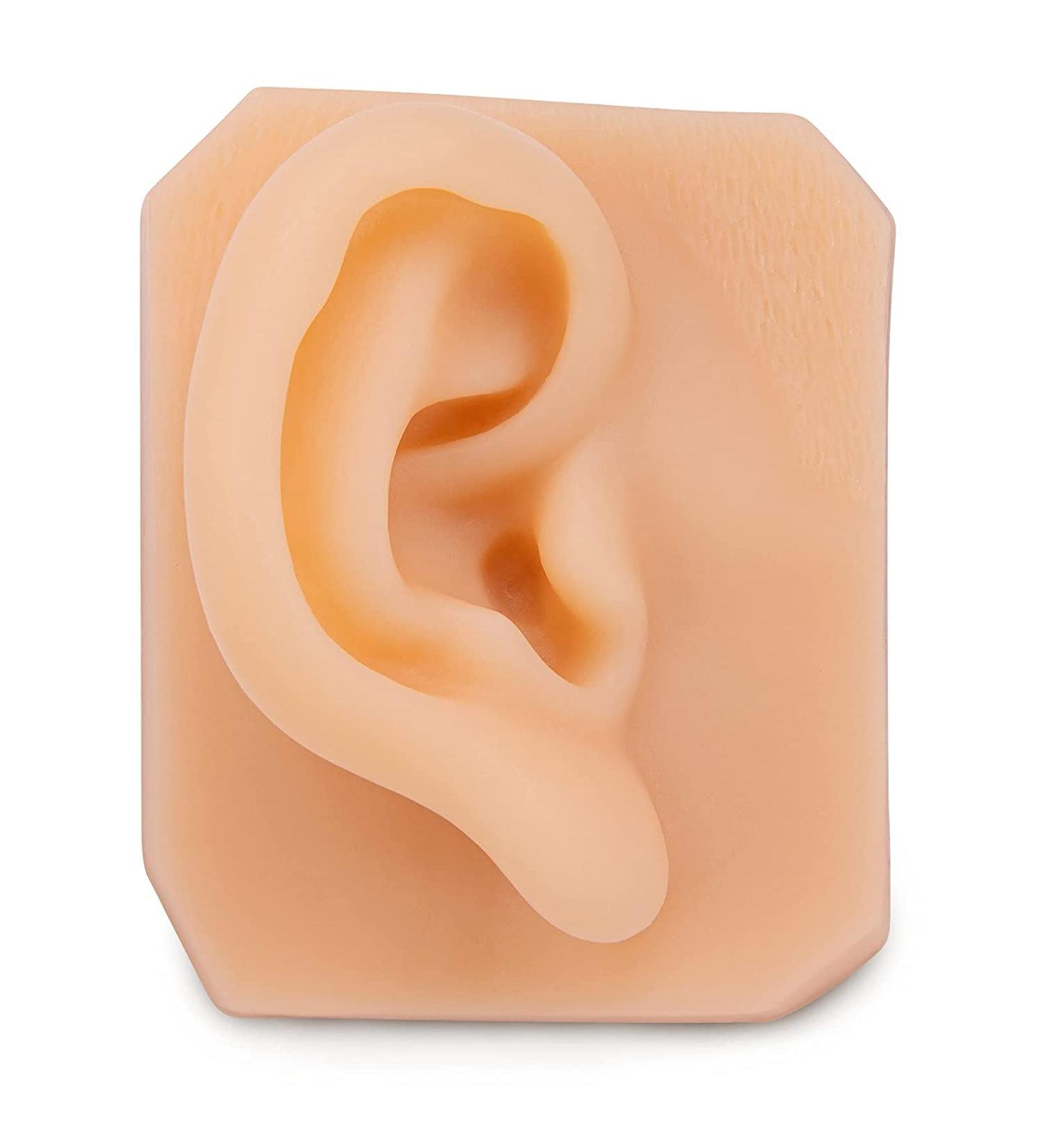 Nicfaky Soft Silicone Right Ear Model for Practicing Suture for Jewelry Display Silicone Ear for Teaching Instructions - Buy Online on SooperMarket.com