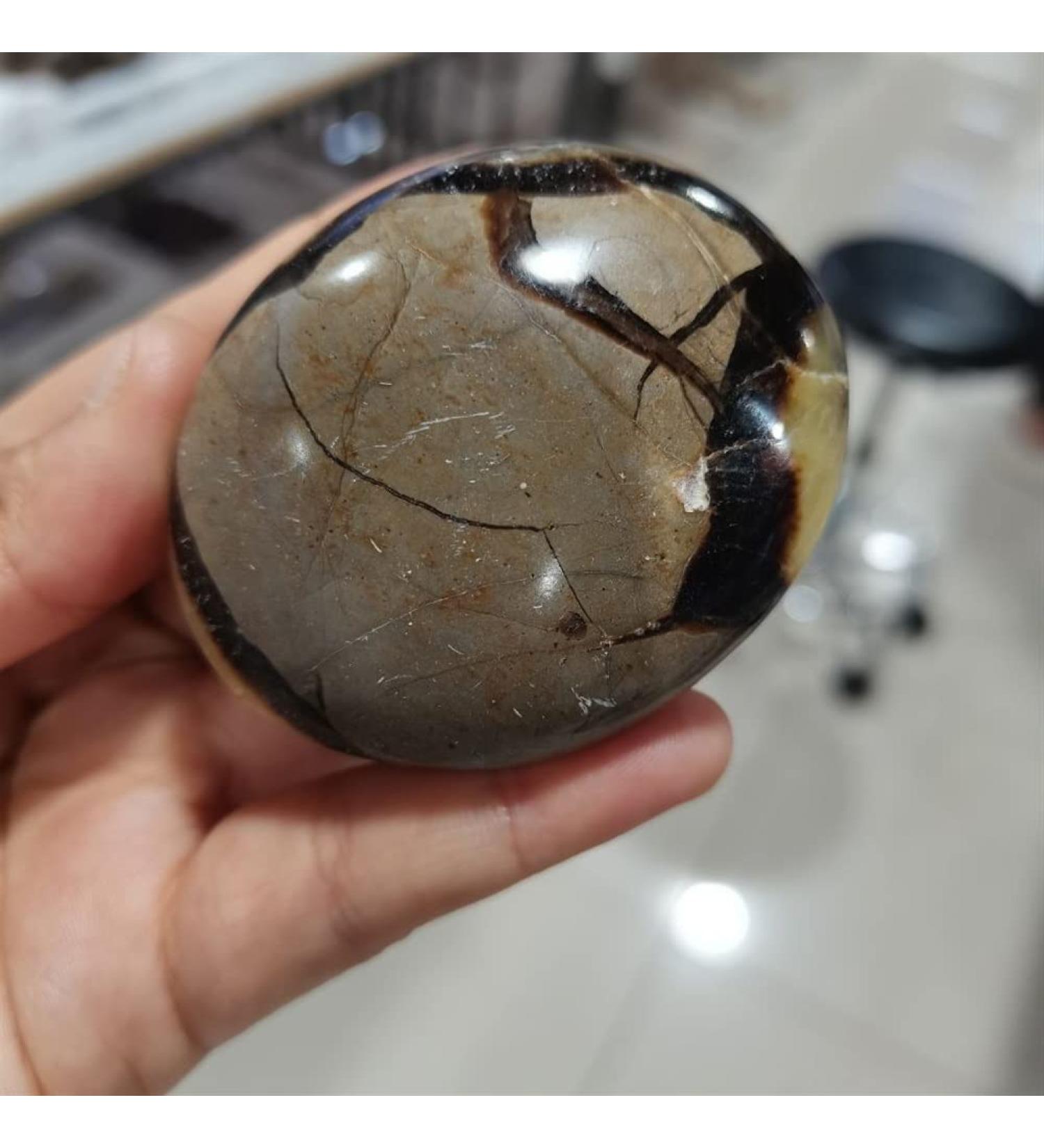 Home Decoration 1pcs Turtle Bay Palm CrystalStones Natural Carved for Feng Shui Stones ZJGIDTEM - Buy Online on SooperMarket.com