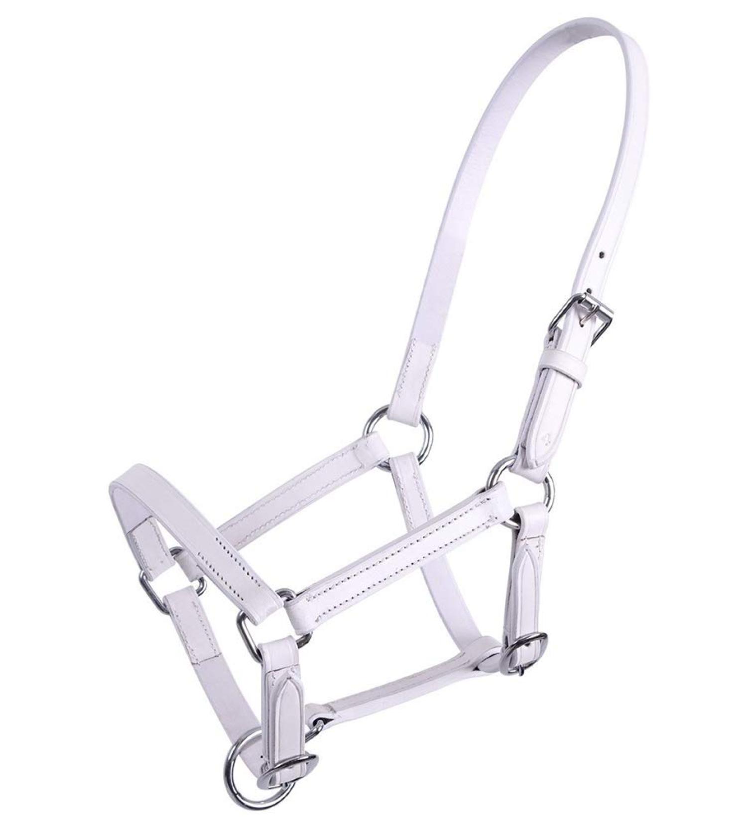 QHP Leather Halter Foal Chico beige + black (pony foal white) Pony foal white