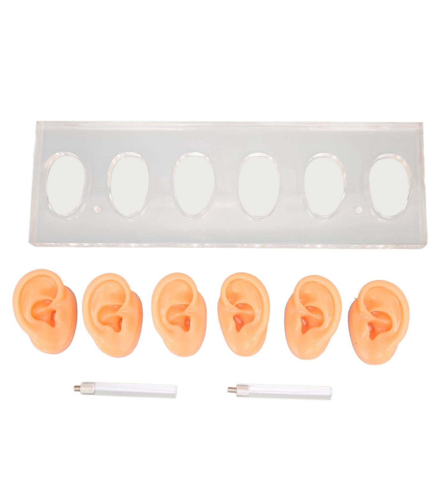 6 Pcs Silicone Ear Model Set for Hearing Aids with Acrylic Display Board - Buy Online on SooperMarket.com