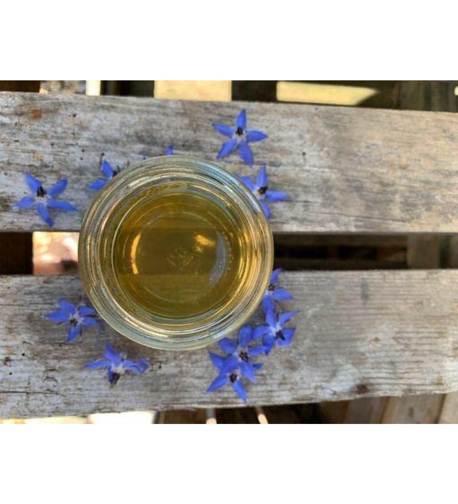 British Borage Honey - Pure and Natural British Honey / UK Honey (227g Glass jar)