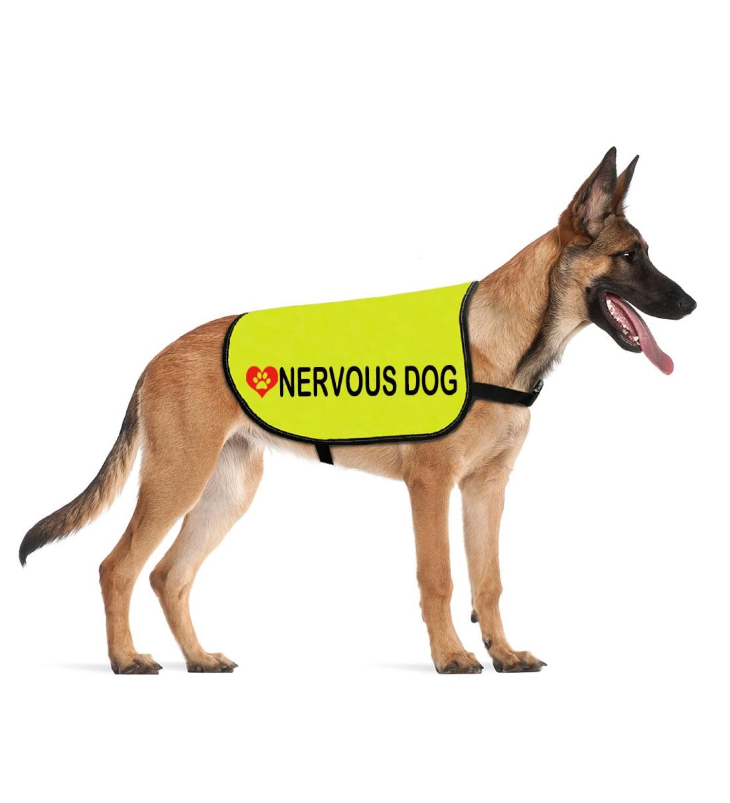 Nervous Dog Jacket Vest Rescue Dogs Anxious Dogs Scared Dogs Slogan Warning Vest (Nervous Dog Large) Nervous Dog L EU - Buy Online on SooperMarket.com