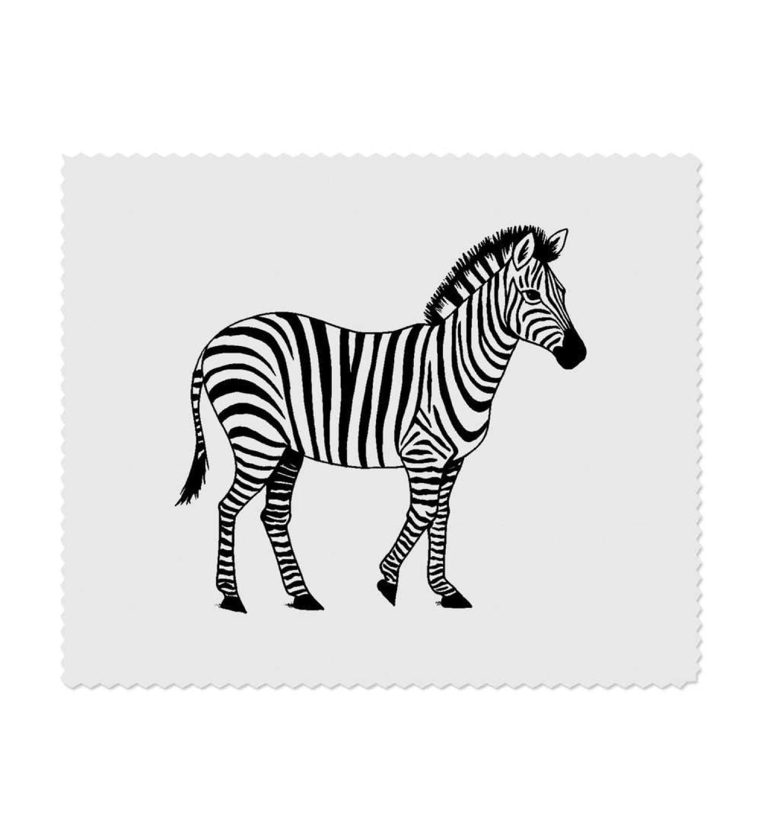 Zebra Microfiber Lens/Glasses Cleaning Cloths - 2 Pack | International Shipping Available - Buy Online on SooperMarket.com