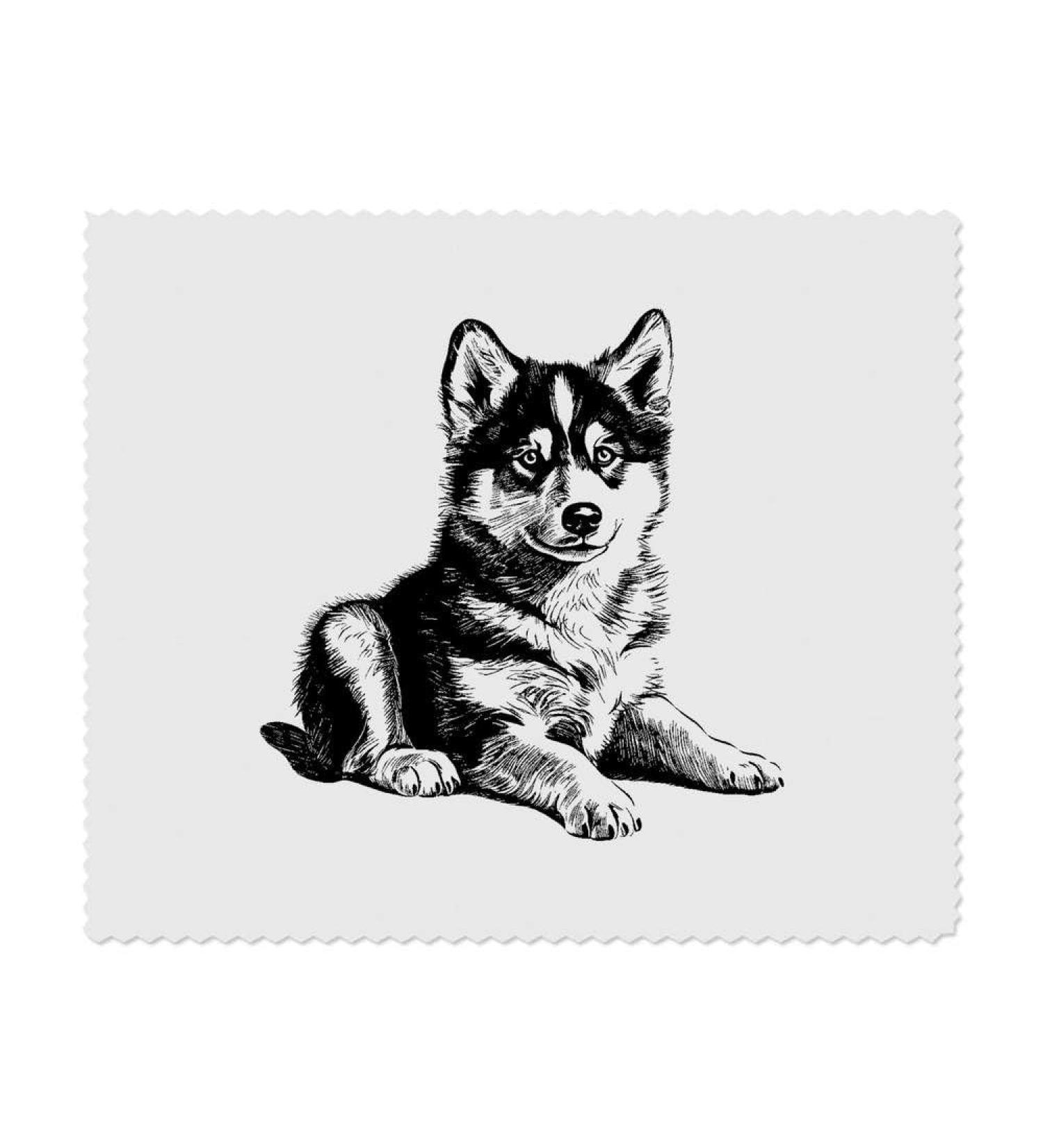 2 Pack Microfiber Glasses Cleaning Cloths - Husky Puppy Design | Perfect for Eyewear & Screens - Buy Online on SooperMarket.com