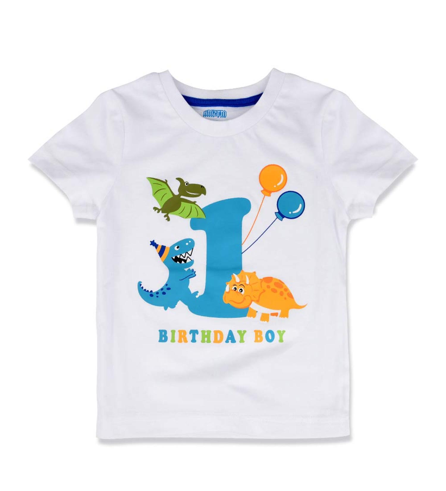 AMZTM 1st Boy Dinosaur Birthday Shirt for Toddler Baby - First Birthday Outfit - Size 90 White - Buy Online on SooperMarket.com