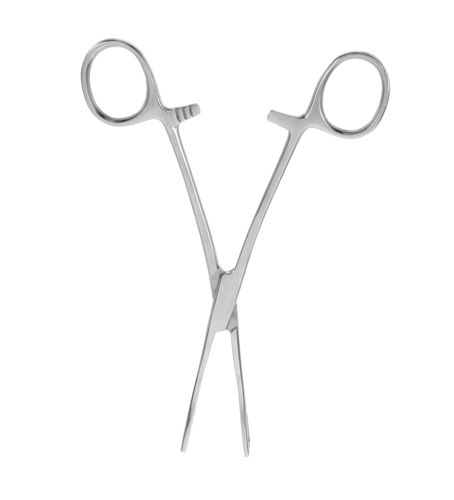 BELLIFFY Reptile Feeding Clip Reptile Tongs Feeding Snake Feeding Tongs Stainless Steel Silver - Buy Online on SooperMarket.com