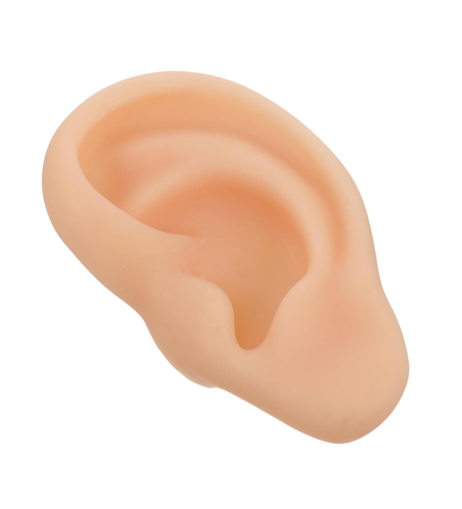 Silicone Ear Model - 3D Major Cyborg Presentation Tool for Ear Training and Piercing Practice - Buy Online on SooperMarket.com