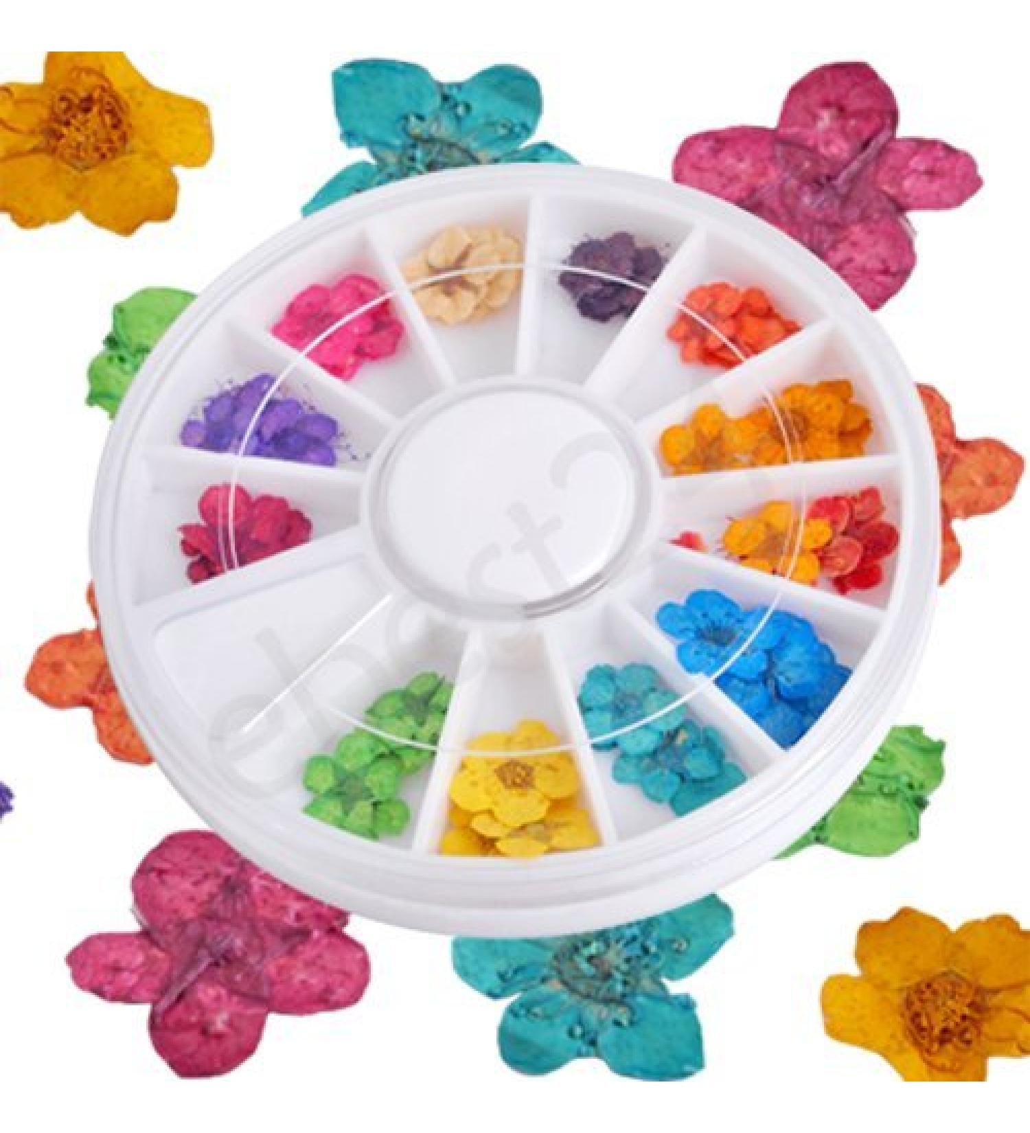 Nail Art Dried Artificial Flowers | 12 Vibrant Colors for Stunning Nail Designs - Shop Internationally - Buy Online on SooperMarket.com