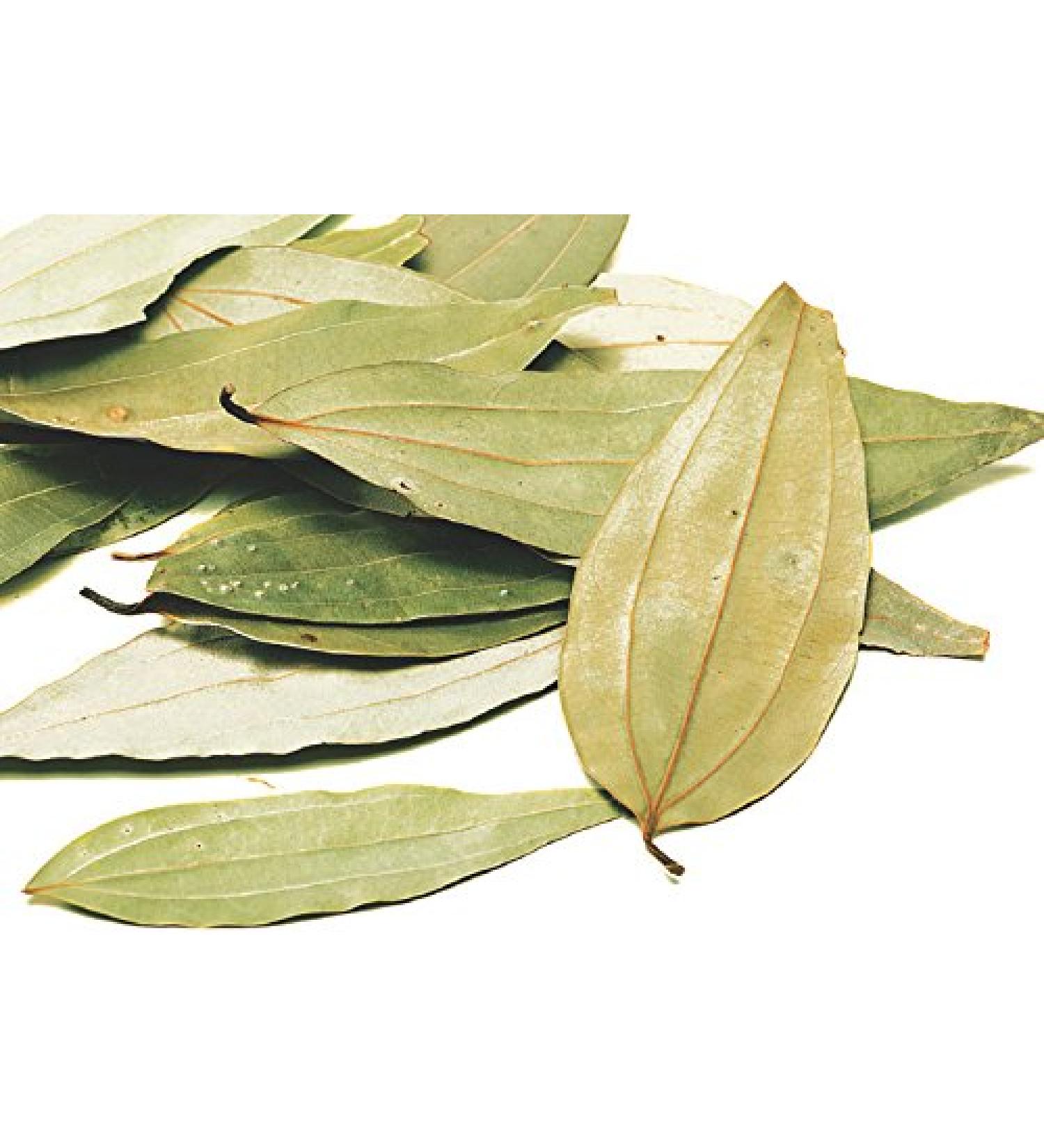 35g - Pure Organic Indian Bay Leaves with Proper 3 Veins Tejpat Tejpatta Cinnamonum Tamala