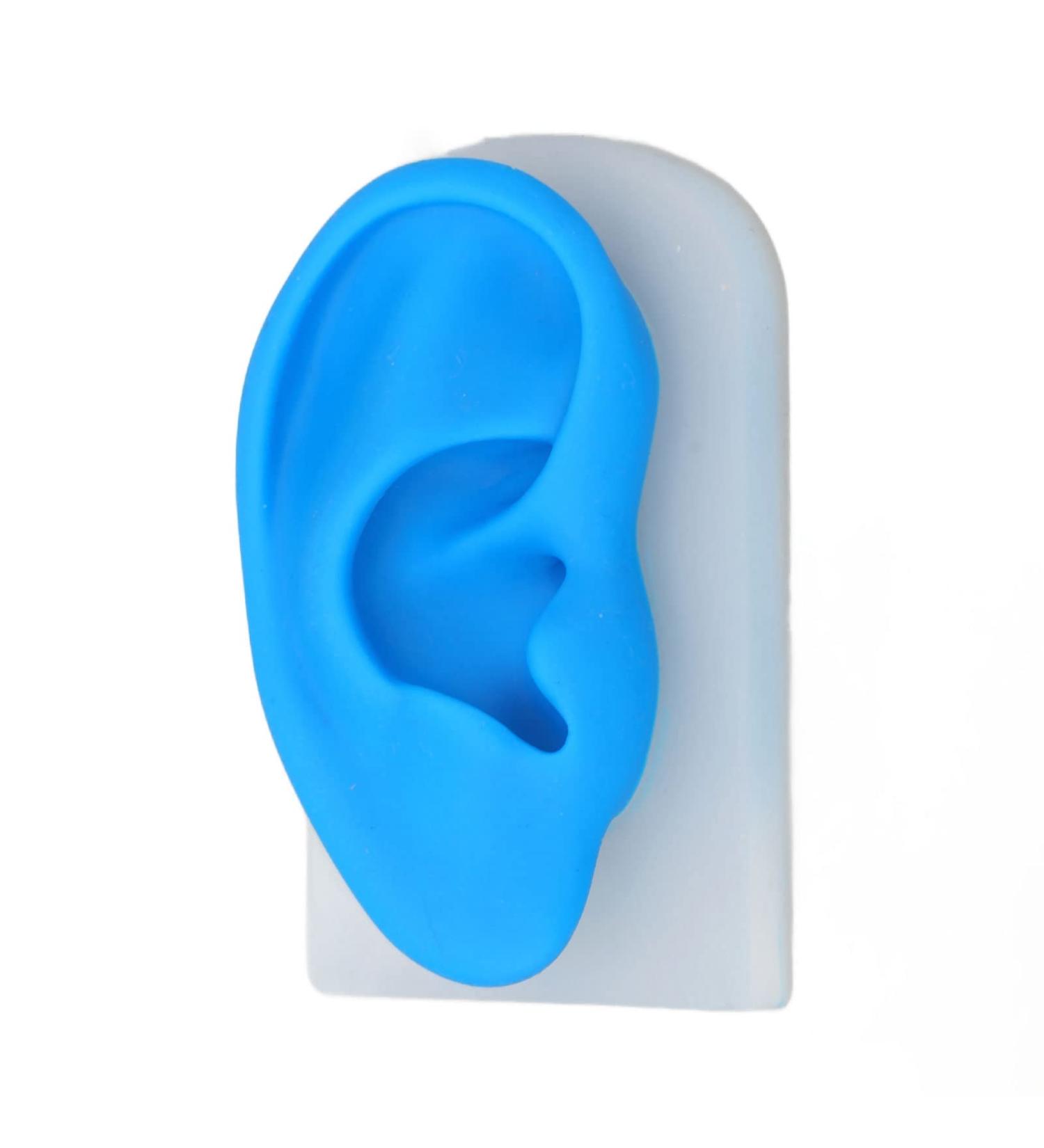 Flexible Silicone Ear Model for Hearing Amplifier Display - Professional Student Tool - Buy Online on SooperMarket.com