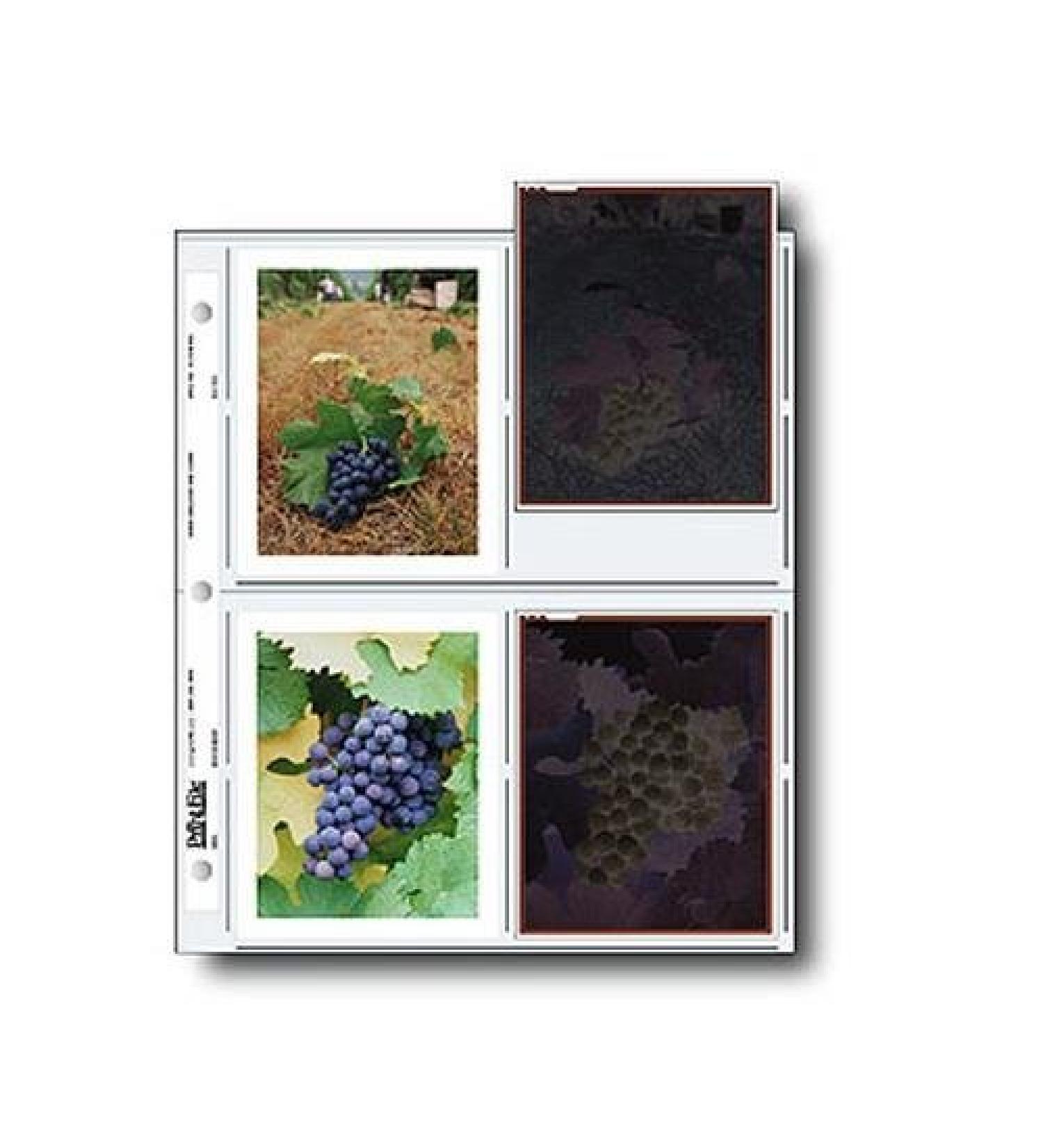 Print File 4x5 Negative Pages - Holds 8 Polaroid Prints or 4 Sleeved Negatives (100-Pack) - Buy Online on SooperMarket.com