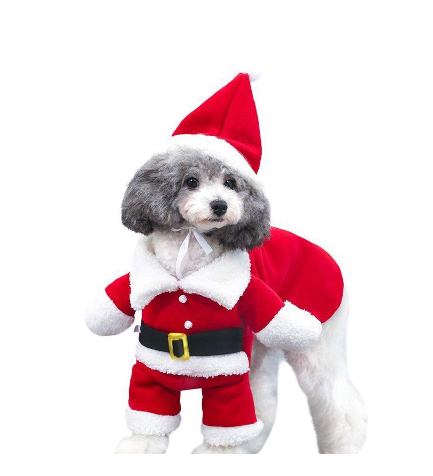 Delifur Pet Christmas Santa Claus Suit with Cap - Dog/Cat Xmas Costume Party Suit (Red, Size S) - Warm Hoodie for Winter - Buy Online on SooperMarket.com