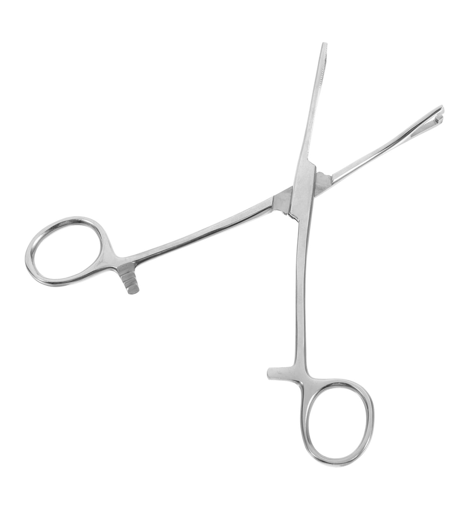 HAPINARY Reptile Feeding Clip Feeding Tools Aquarium Tongs Extra Long Silver Stainless Steel - Buy Online on SooperMarket.com