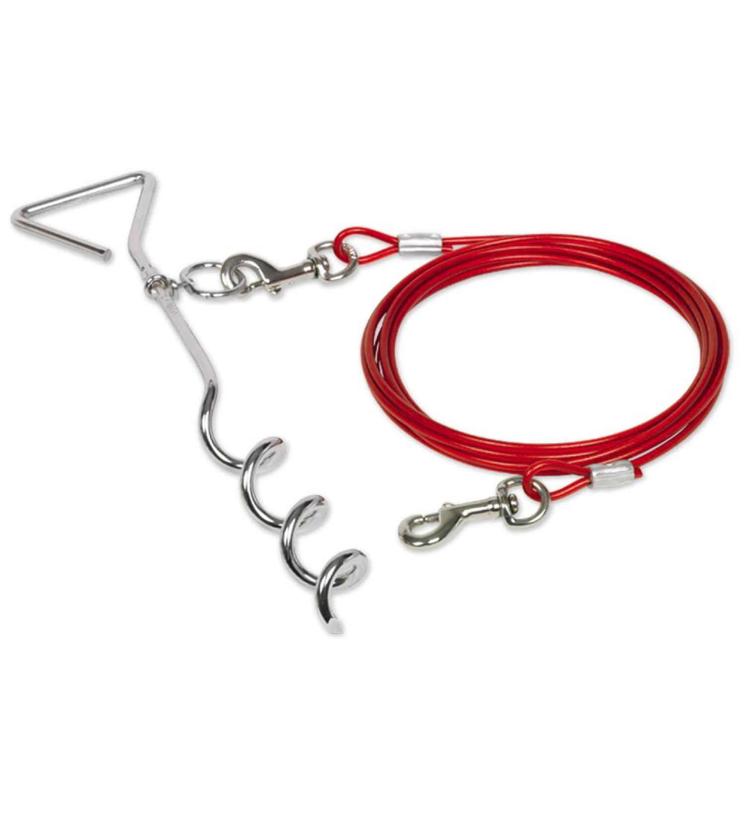 Nobby Spiral Stake with Cable - Buy Online on SooperMarket.com