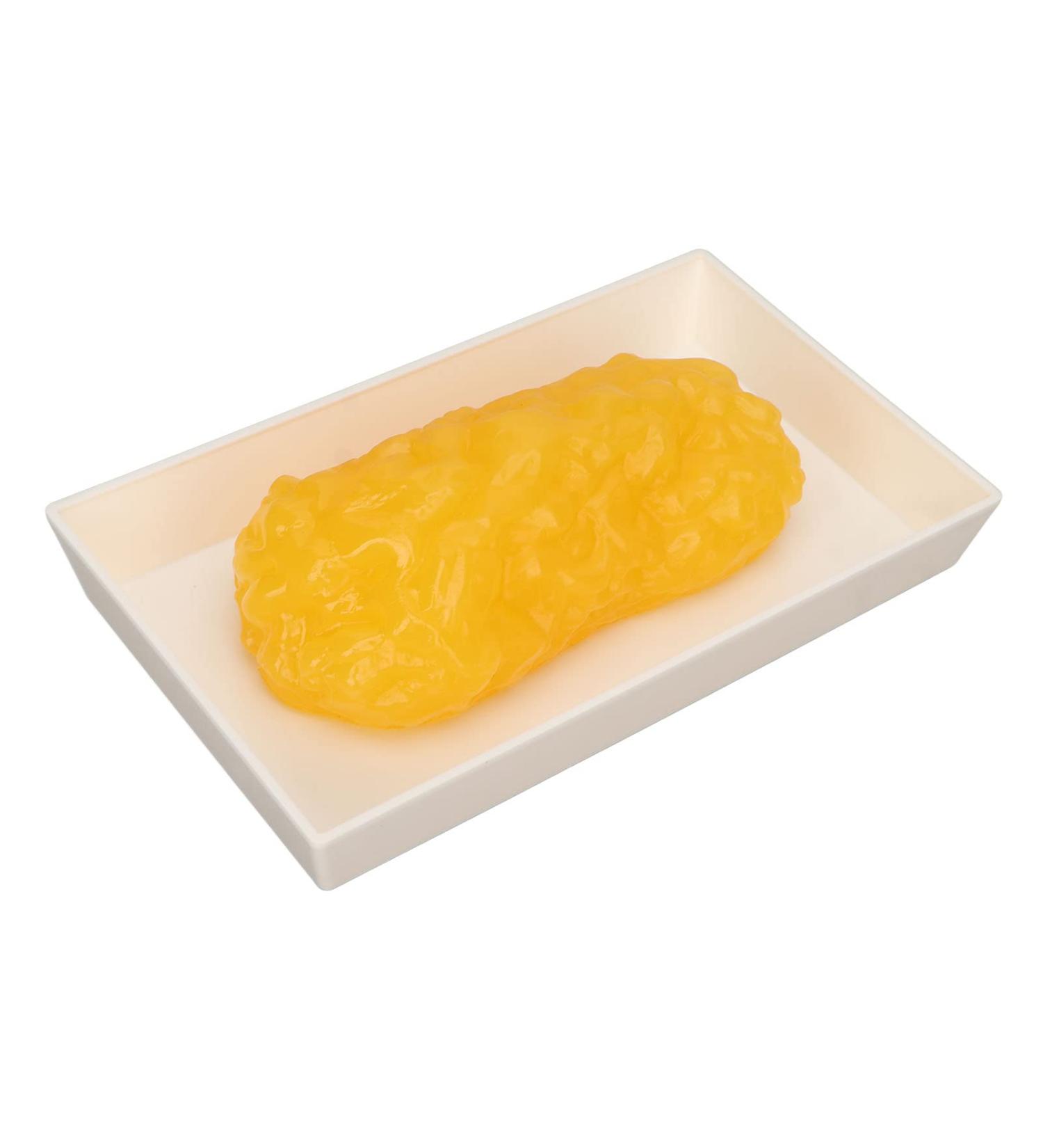 Human Adipose Tissue Model Safe Demonstration Smooth Body Fat Replication Portable Gym For Nutritionist - Buy Online on SooperMarket.com