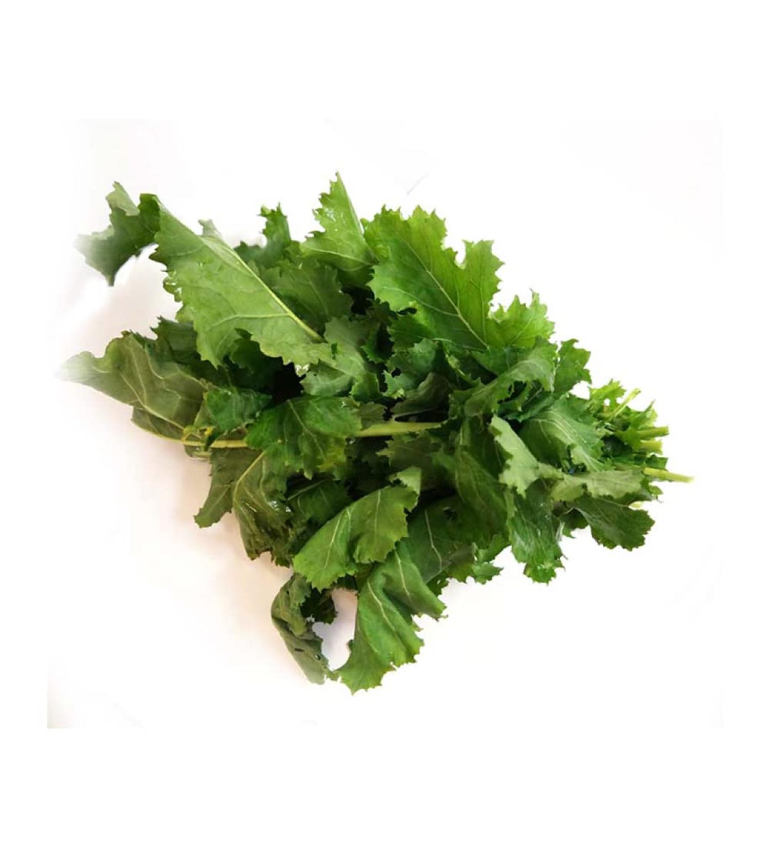 Fresh Saag Leaves Bunch | Single Bunch | Mustard Leaves | Sarso Ka Saag Leaf | Green leafy | Spinach | Broad leaves | Approx 200G