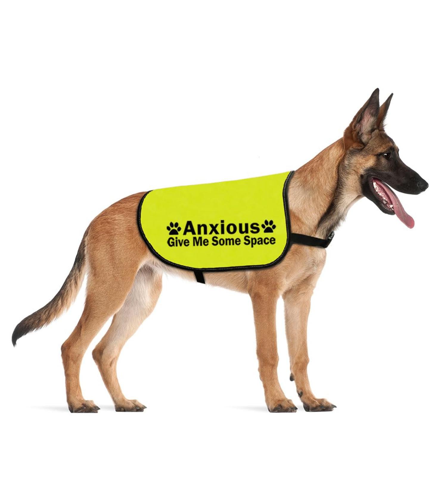 Nervous Anxious Dog Give Me Some Space Dog Jacket Vest Alert Slogan Warning Vest Rescue Dogs Anxious Dogs Gift (give space Anxious Large) give space Anxious L EU - Buy Online on SooperMarket.com