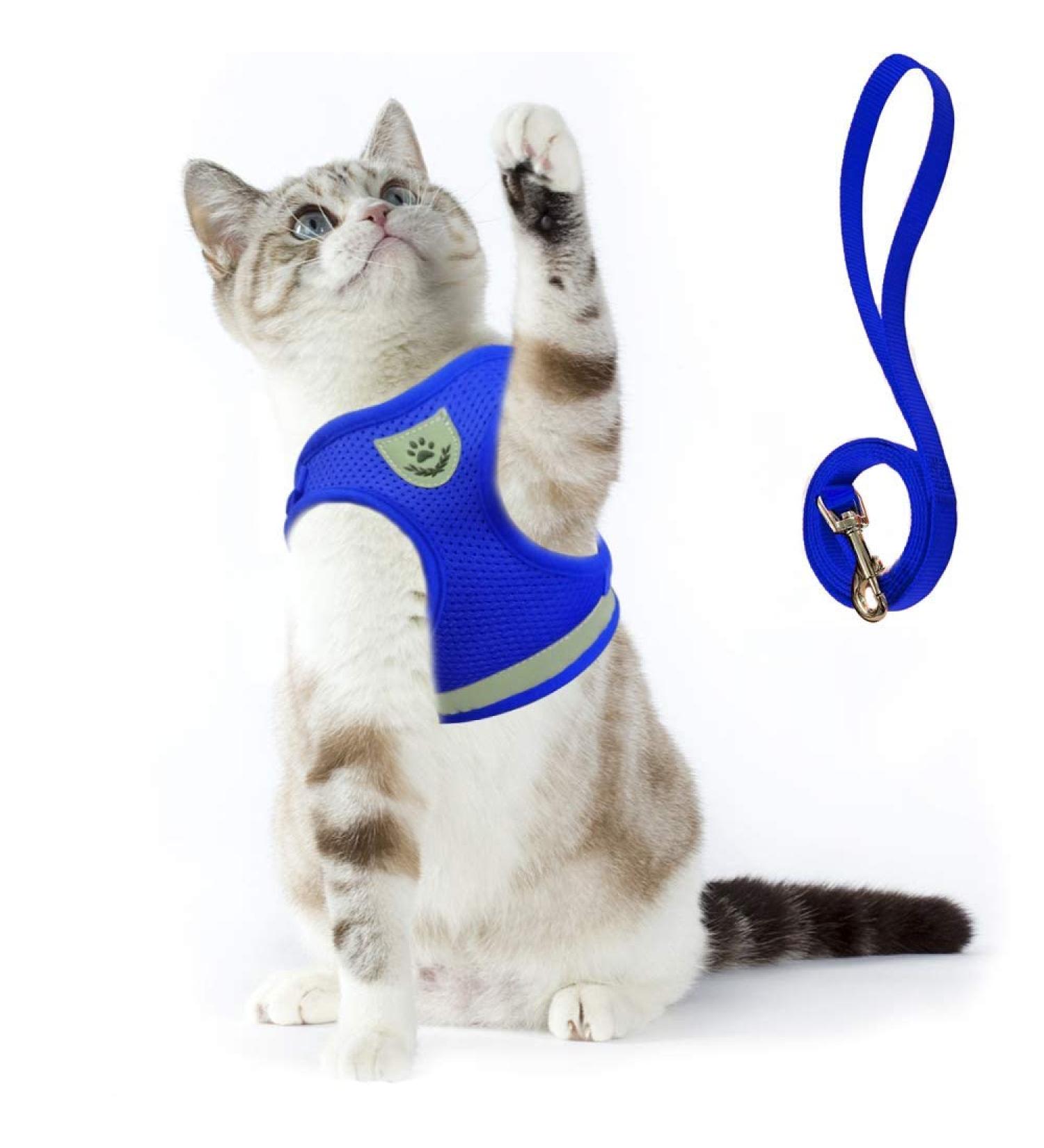 Supet Cat Dishes & Soft Cat Vest with Leash for Kittens & Small Dogs - Blue Size L (38-43 cm) - Buy Online on SooperMarket.com