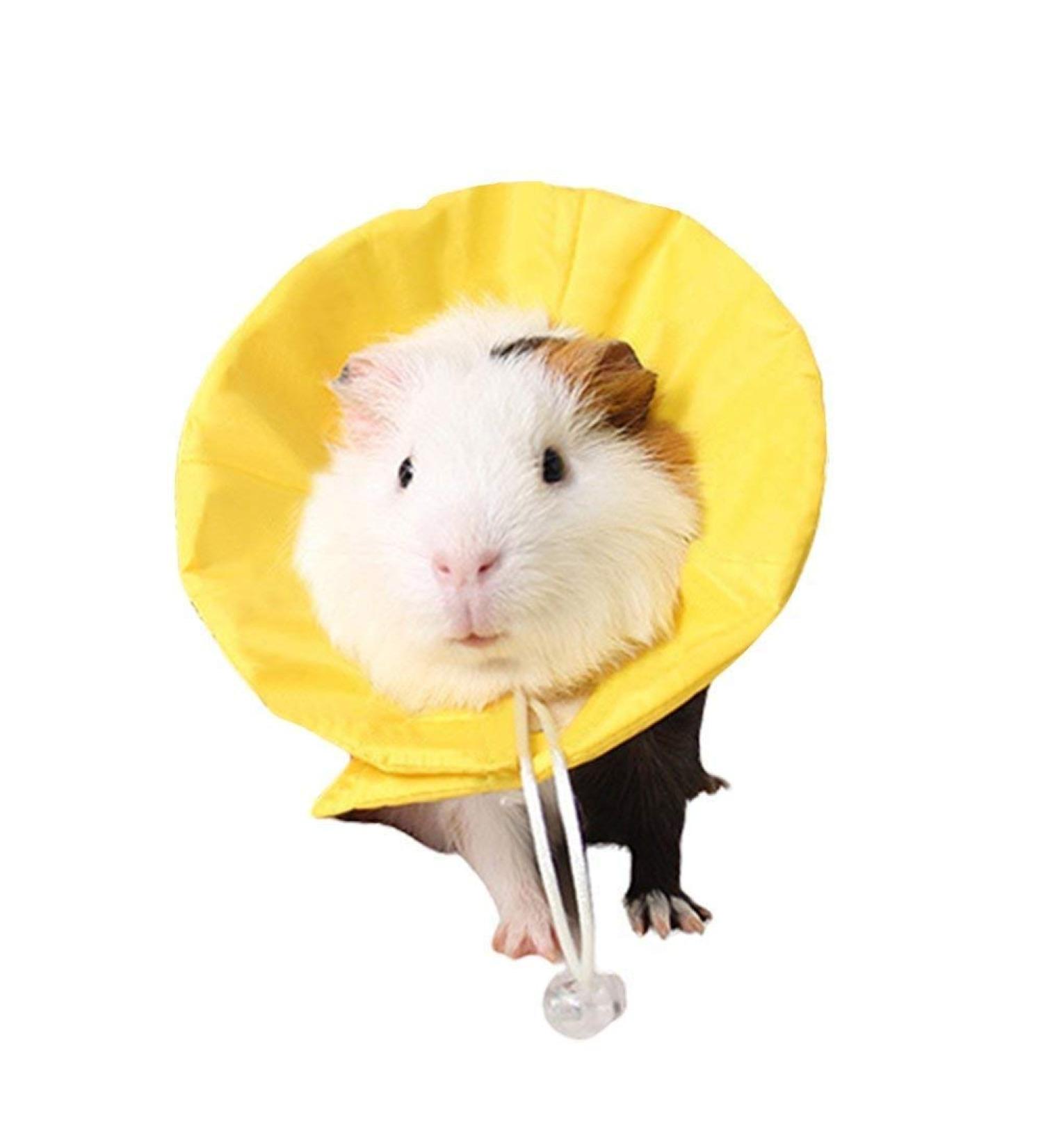 NashaFeiLi Pet Recovery Collar Elizabethan Small Animal Hamster Collar Cone Adjustable Comfy Collar for Hamster Chinchilla Small Pet (S Yellow) S Yellow - Buy Online on SooperMarket.com