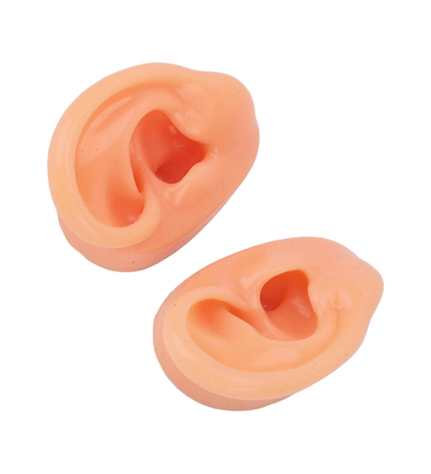 Waterproof Simulated Teaching Ear Model for Doctors - Long Lasting Artificial Ear - Buy Online on SooperMarket.com