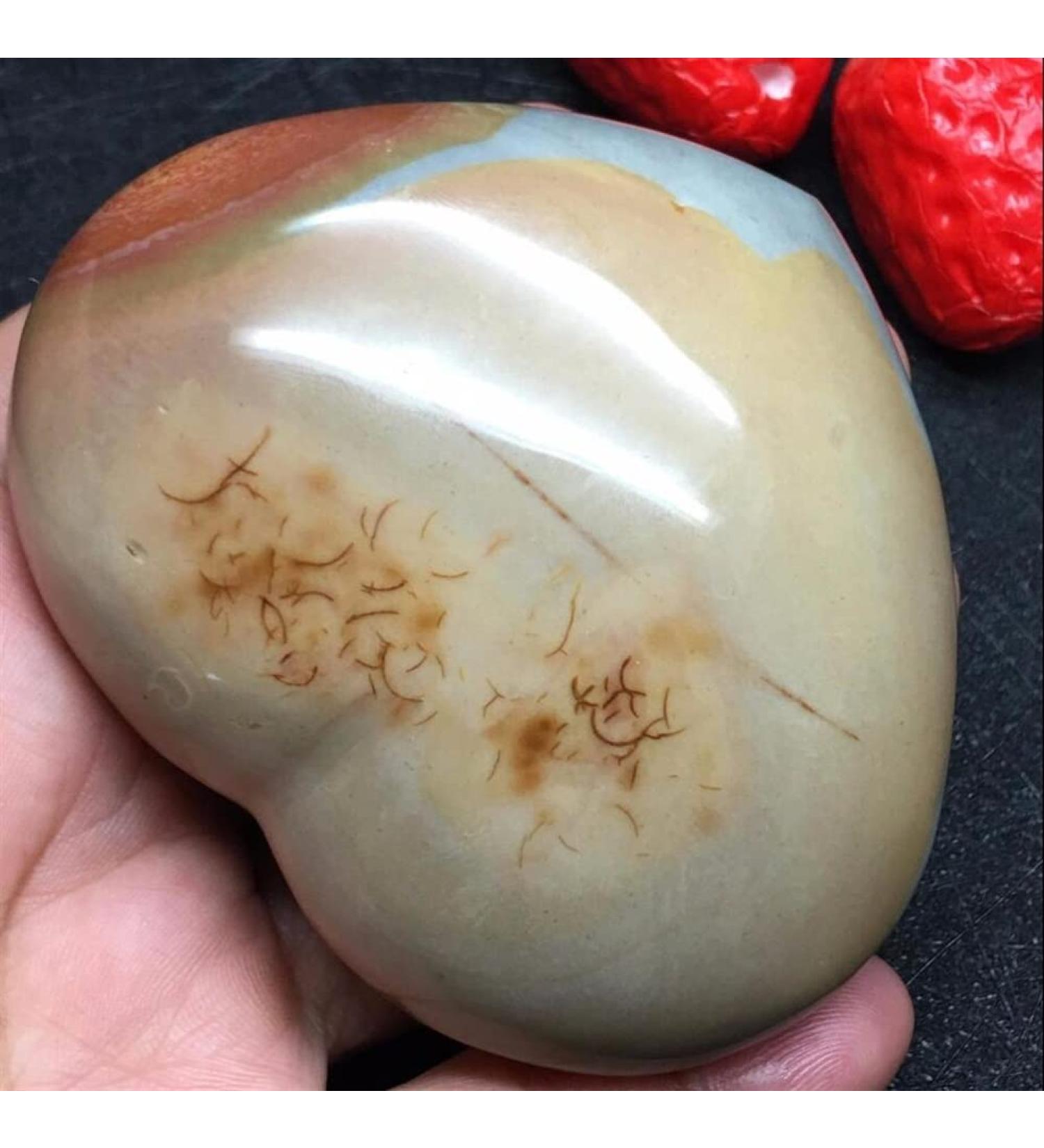 Natural Stone Sea Stone Ancient Rock Specimen Heart 220g Beautiful Crystal - Buy Online on SooperMarket.com