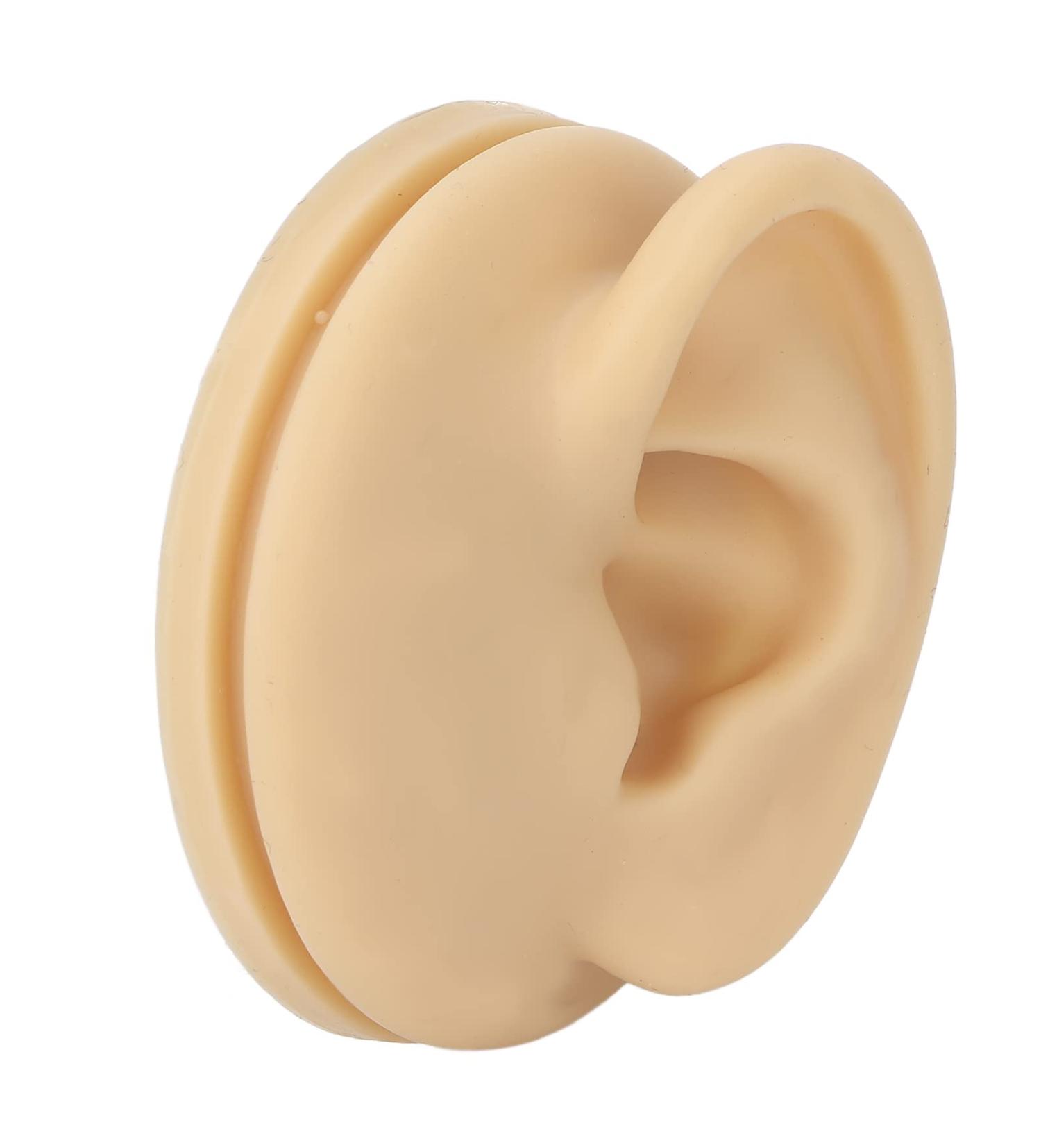 Human Ear Model Left Ear Soft Lifelike Fake Ear Model for Teaching Demonstration - Buy Online on SooperMarket.com
