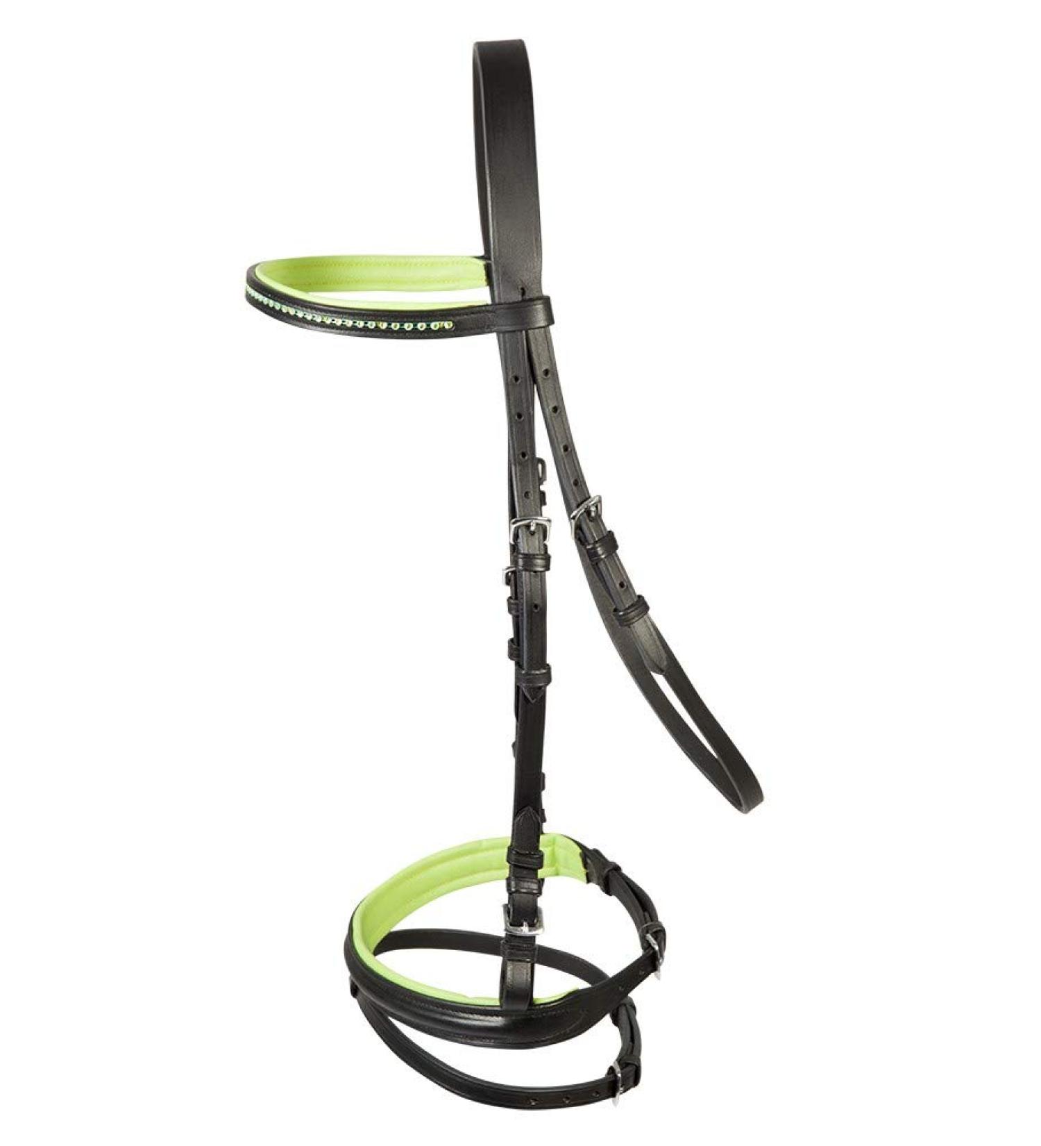 PFIFF bridle Staines black-green Shetty Shetty Black / Green