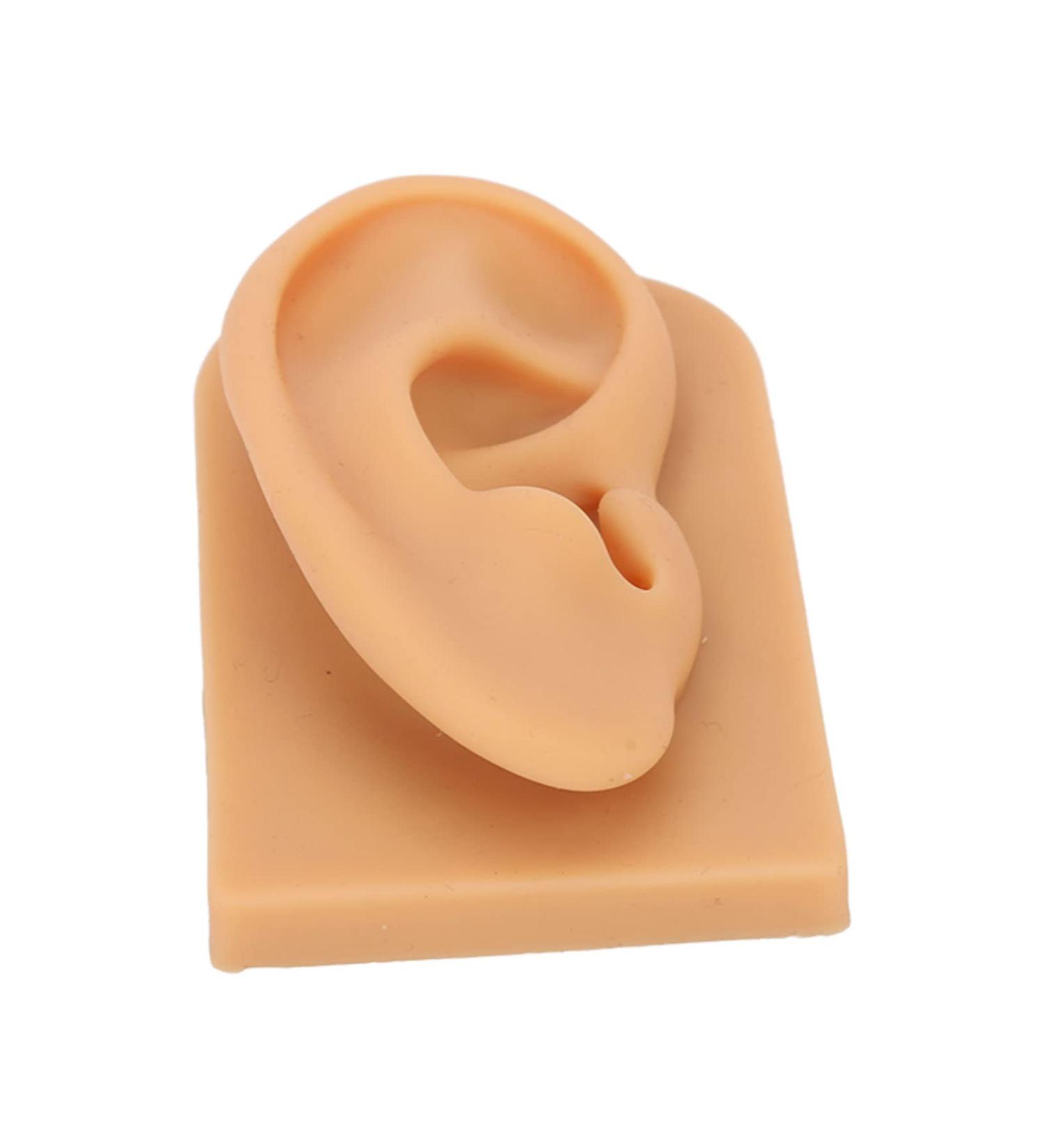 Silicone Right Acupuncture Ear Model - Waterproof Hearing Aid Display Accessory for Science Education - Buy Online on SooperMarket.com