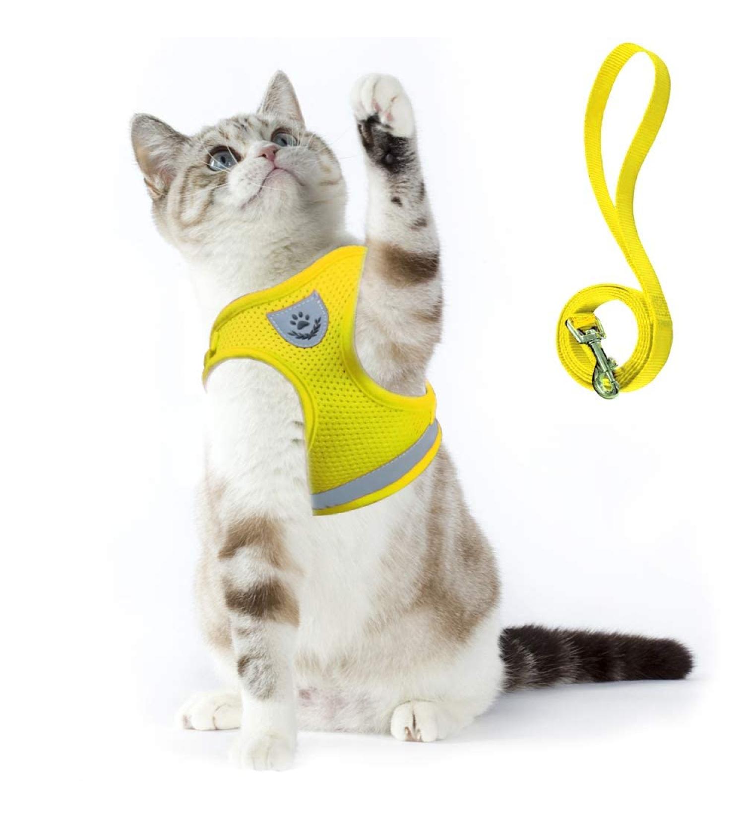 Supet Cat Dishes: Soft Yellow Cat Vest for Kittens & Small Dogs (M 33-38 cm) | International Shipping - Buy Online on SooperMarket.com