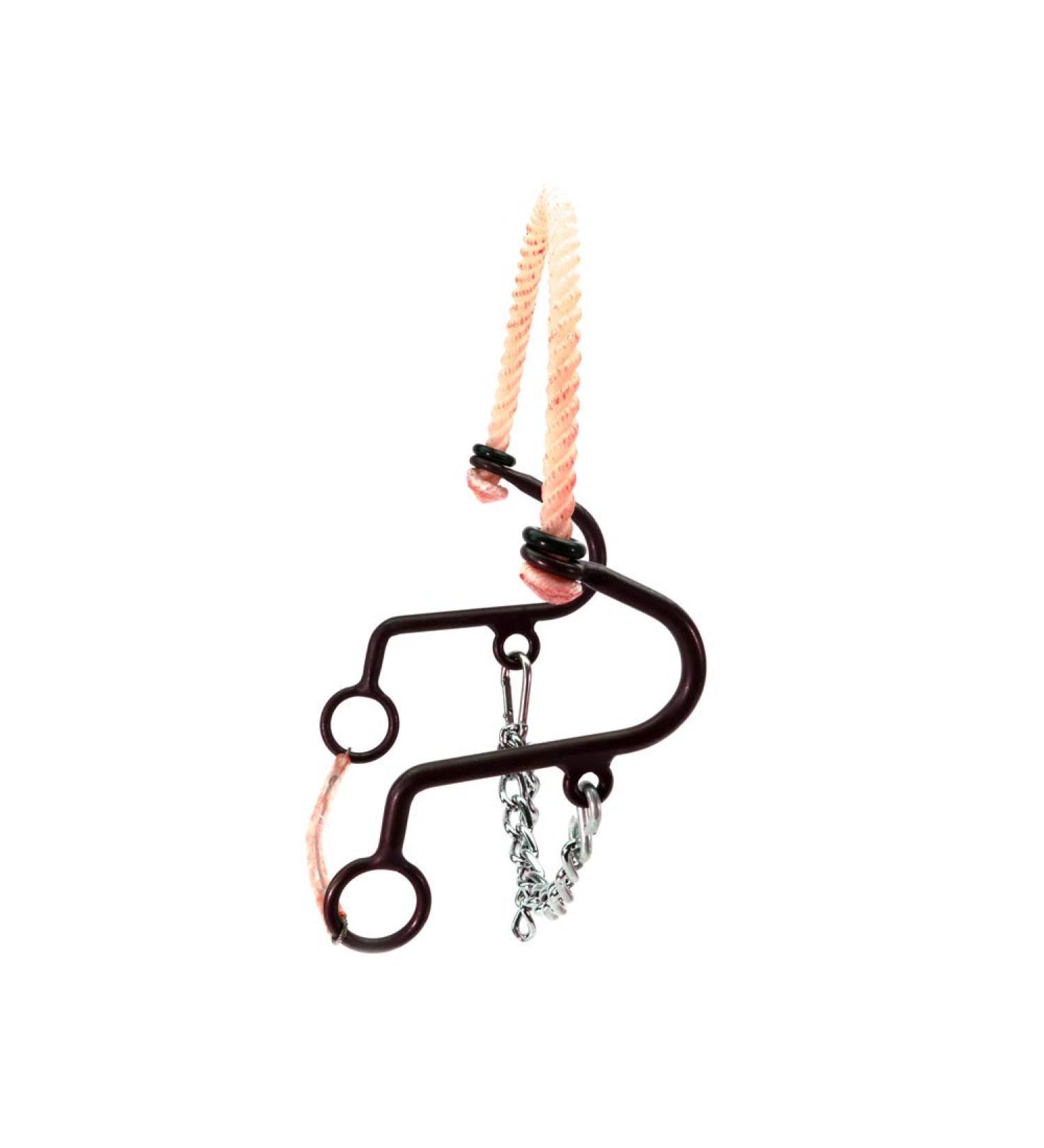 Aime Imports Westen at Rope Nose Little S Hackamore
