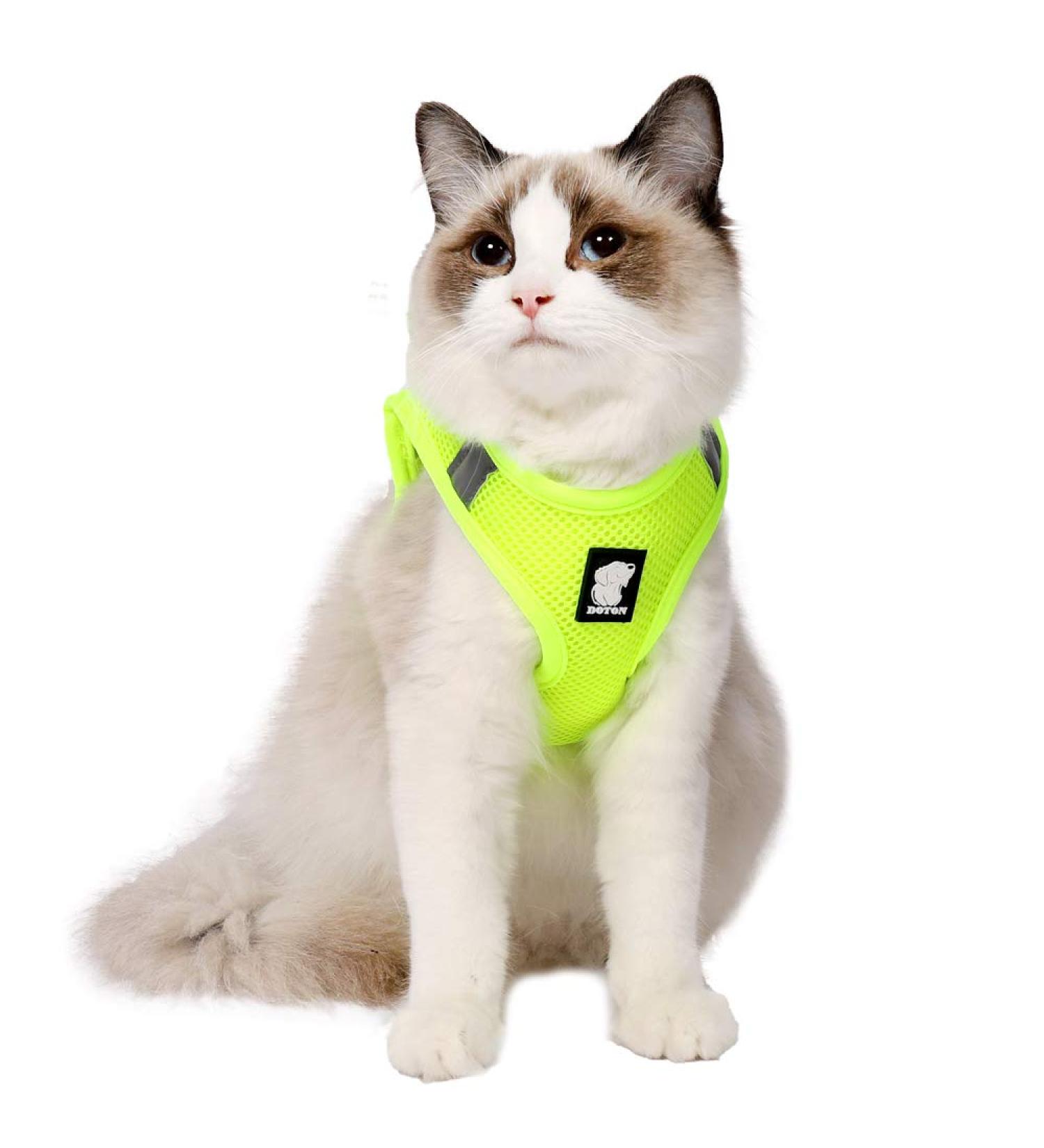 Ultra-Light Adjustable Cat Dish & Escape Protection Vest for Kittens and Puppies - Padded Running Jacket (Fruit Green) | 1 Pack - Buy Online on SooperMarket.com
