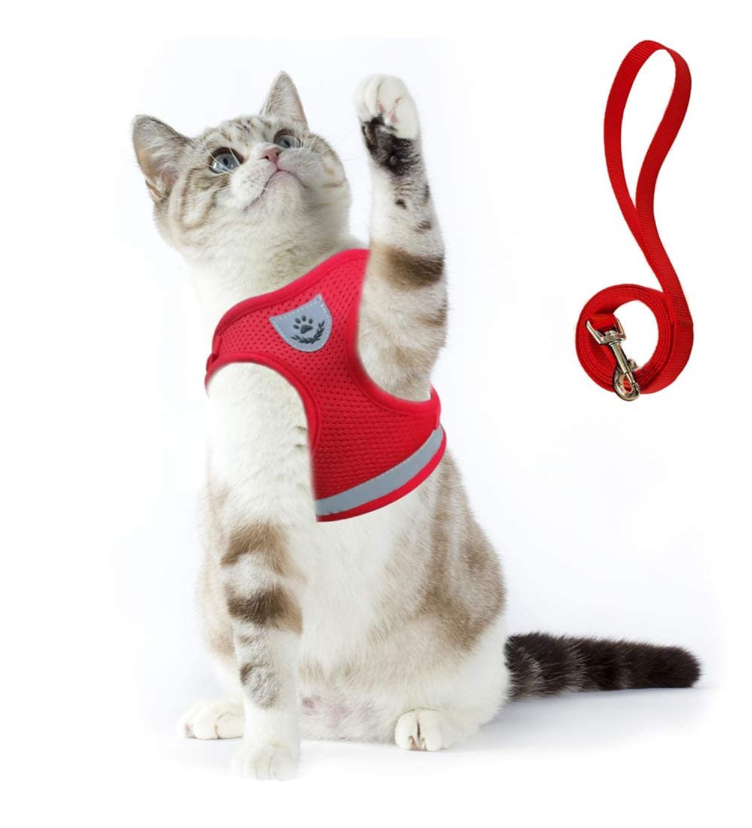 Supet Soft Cat Dishes & Vest | Stylish Red Cat Apparel for Kittens & Small Dogs (Chest 26-32 cm) - International Shipping - Buy Online on SooperMarket.com