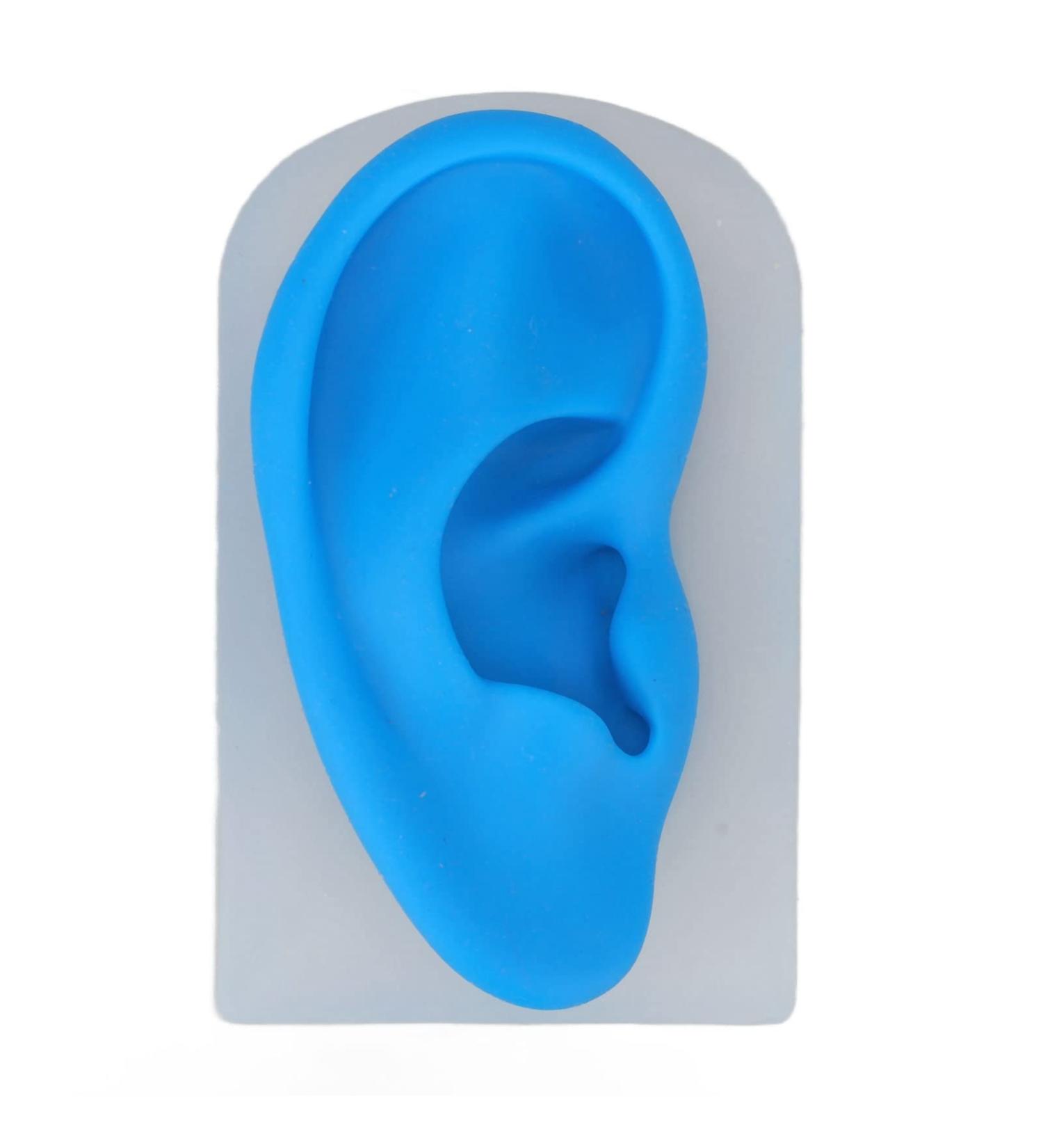 Silicone Soft Ear Model for Earrings Display with Stand - Practice Tool for Studs & Teaching - Realistic Imitation Ear - Buy Online on SooperMarket.com
