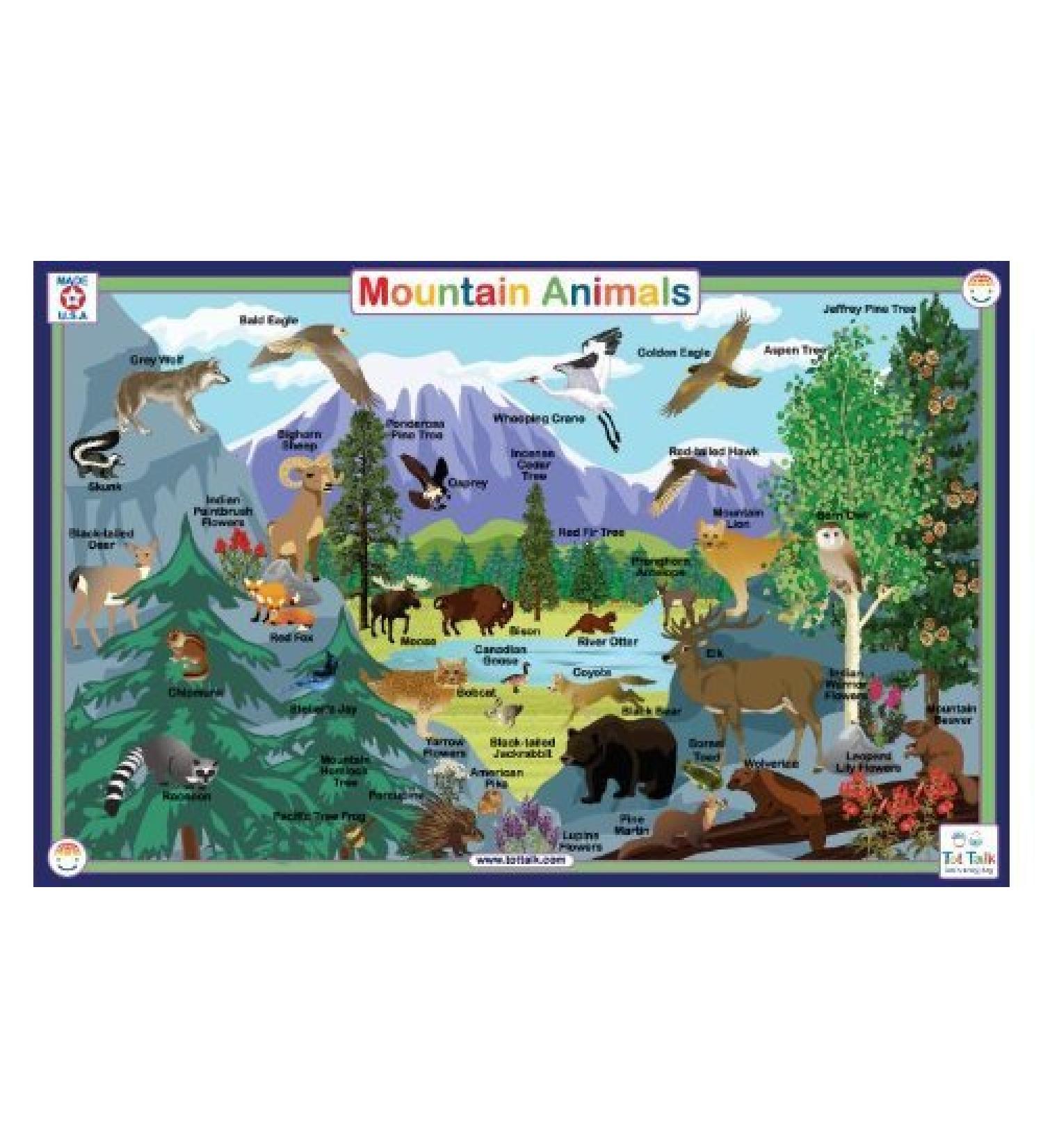 Mountain Animals Placemat